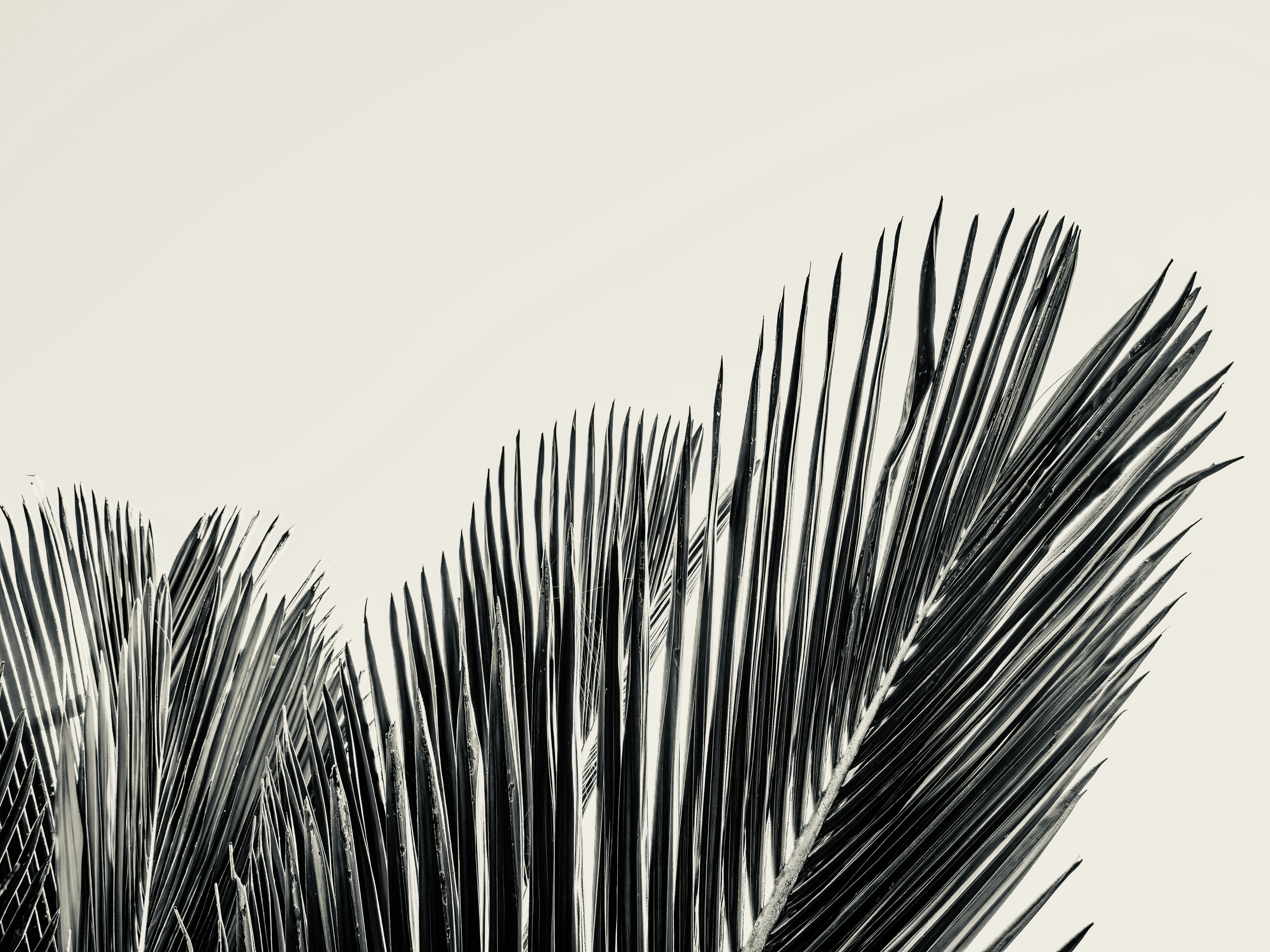 Photo by sschusterphotoart