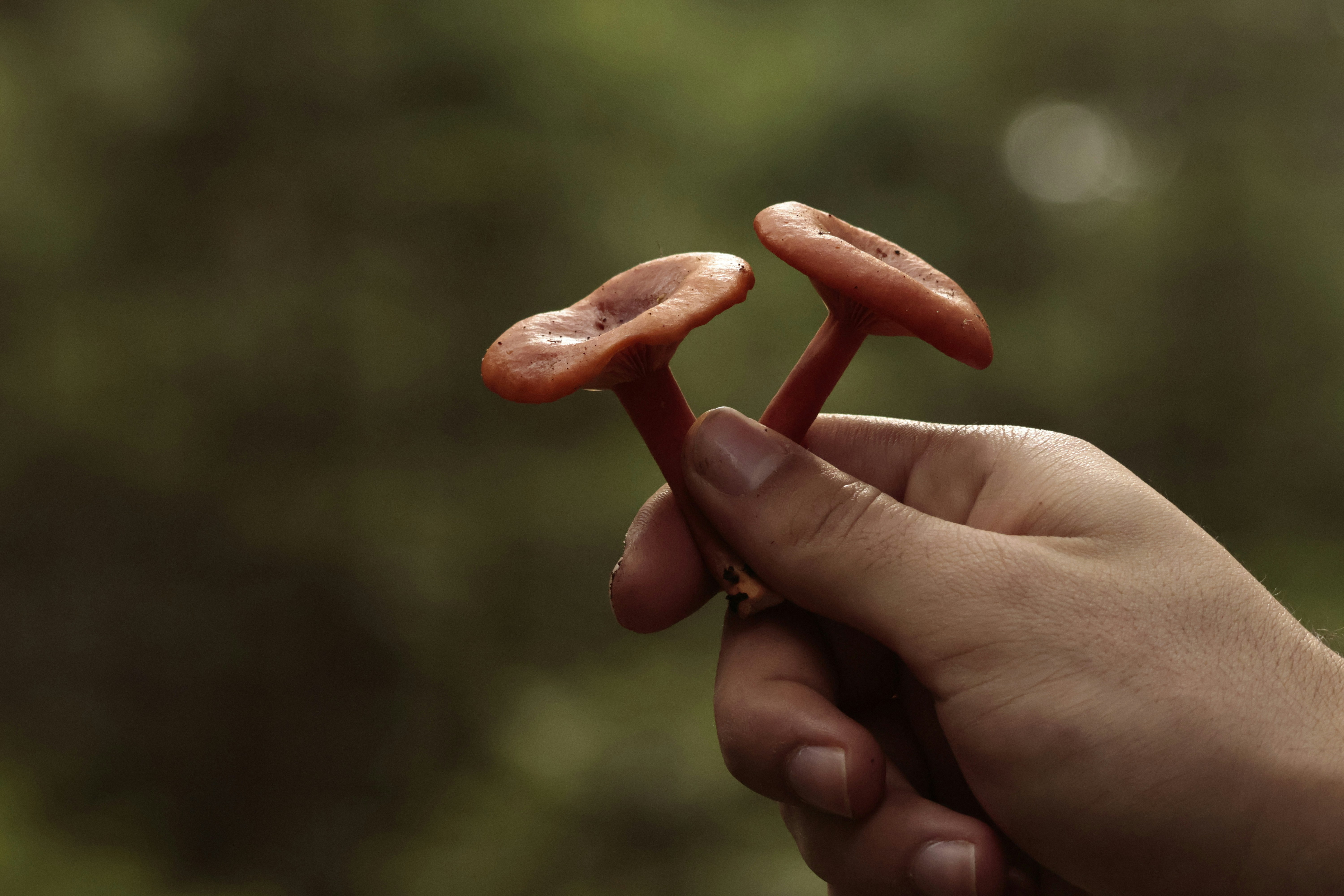 Photo by burakemrecr