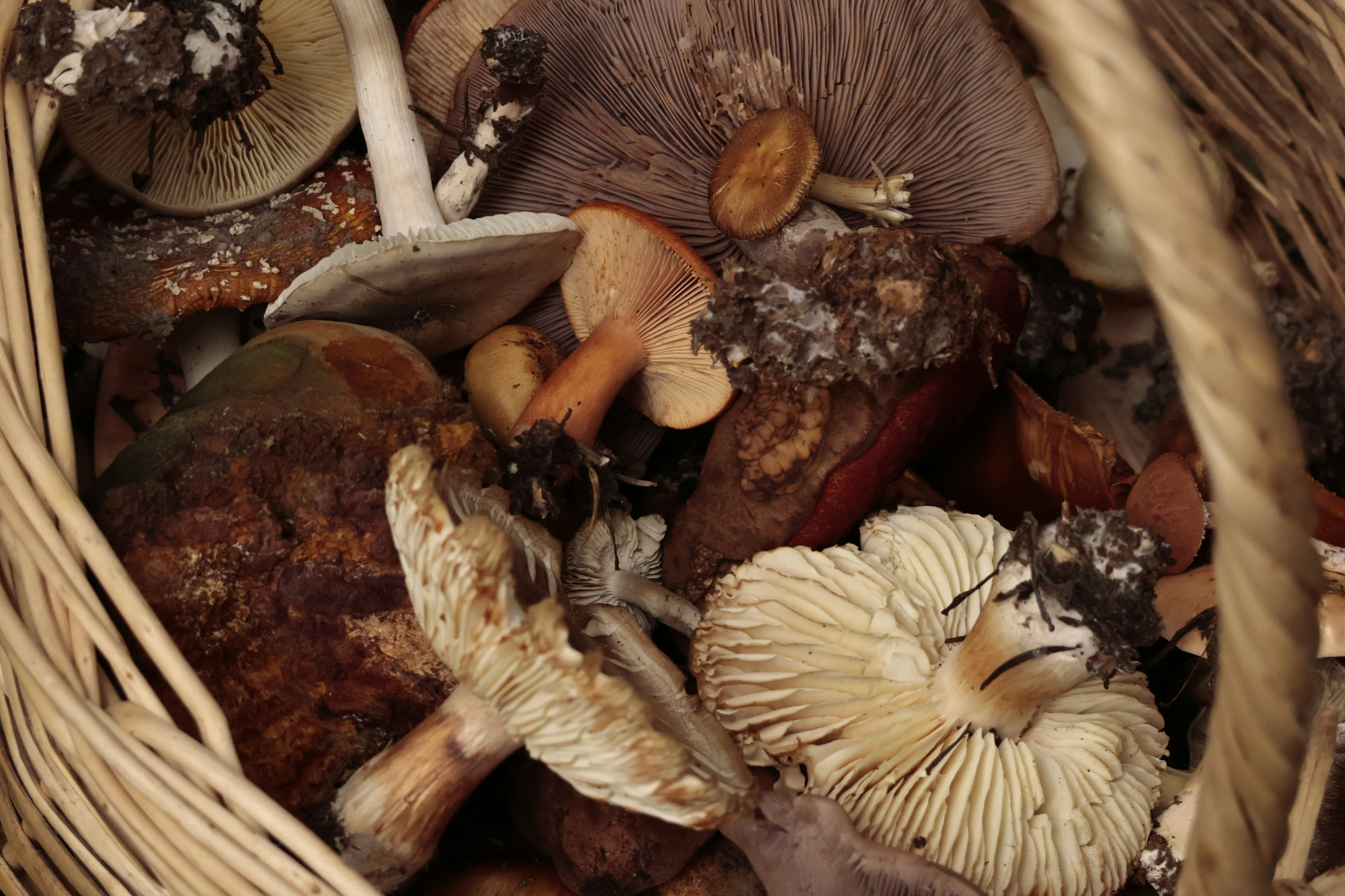 Photo by burakemrecr