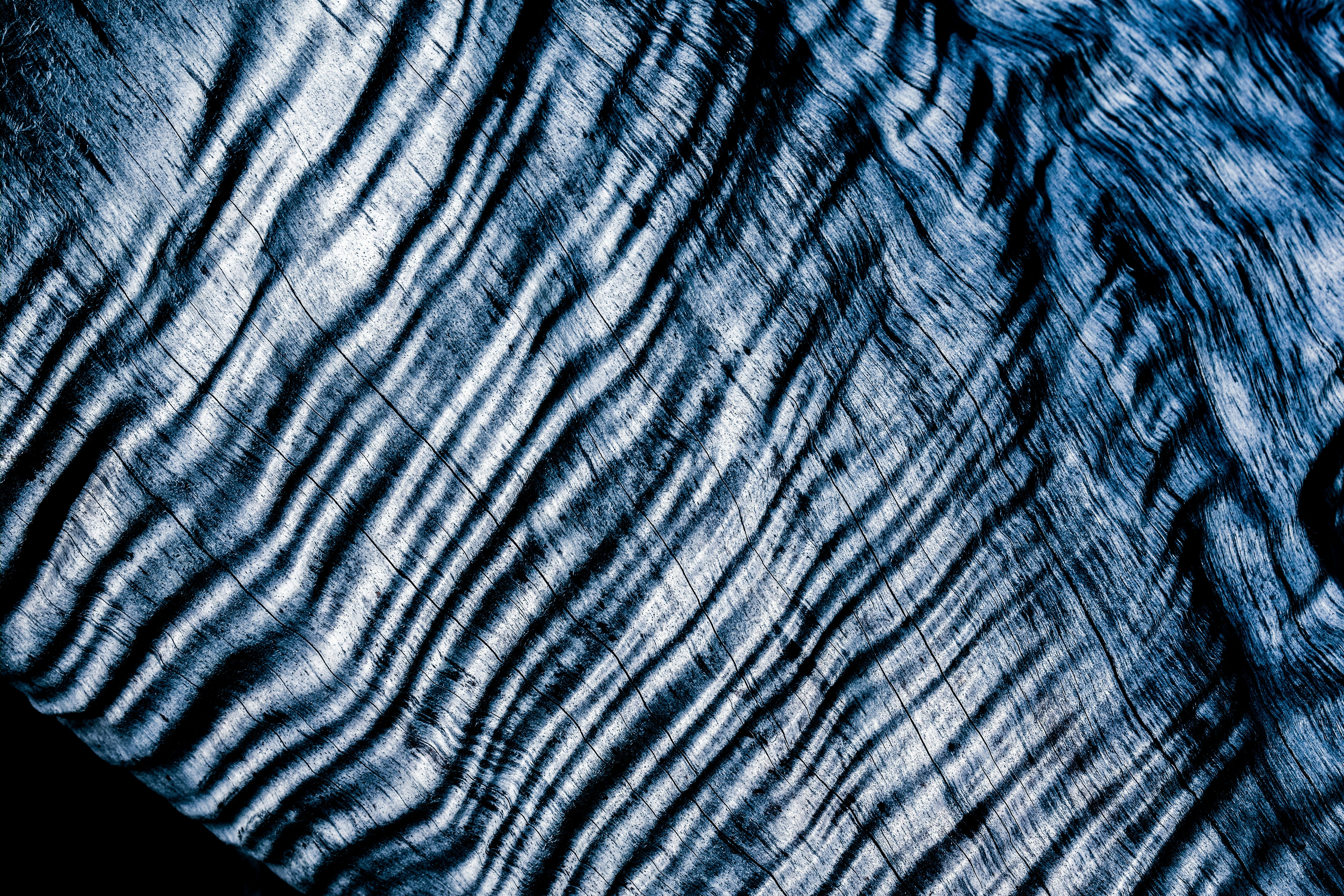 Photo by sschusterphotoart