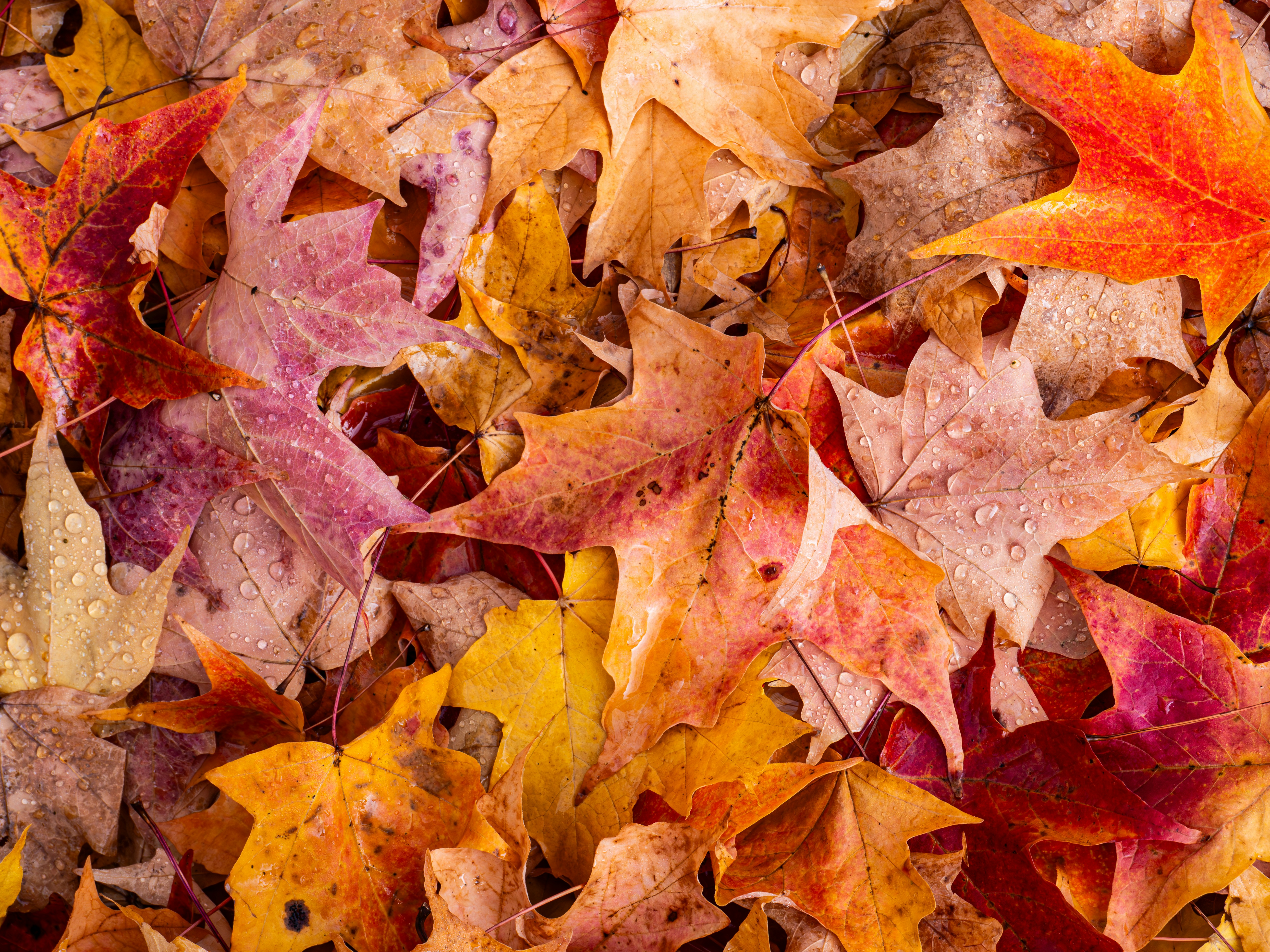 Photo by sschusterphotoart