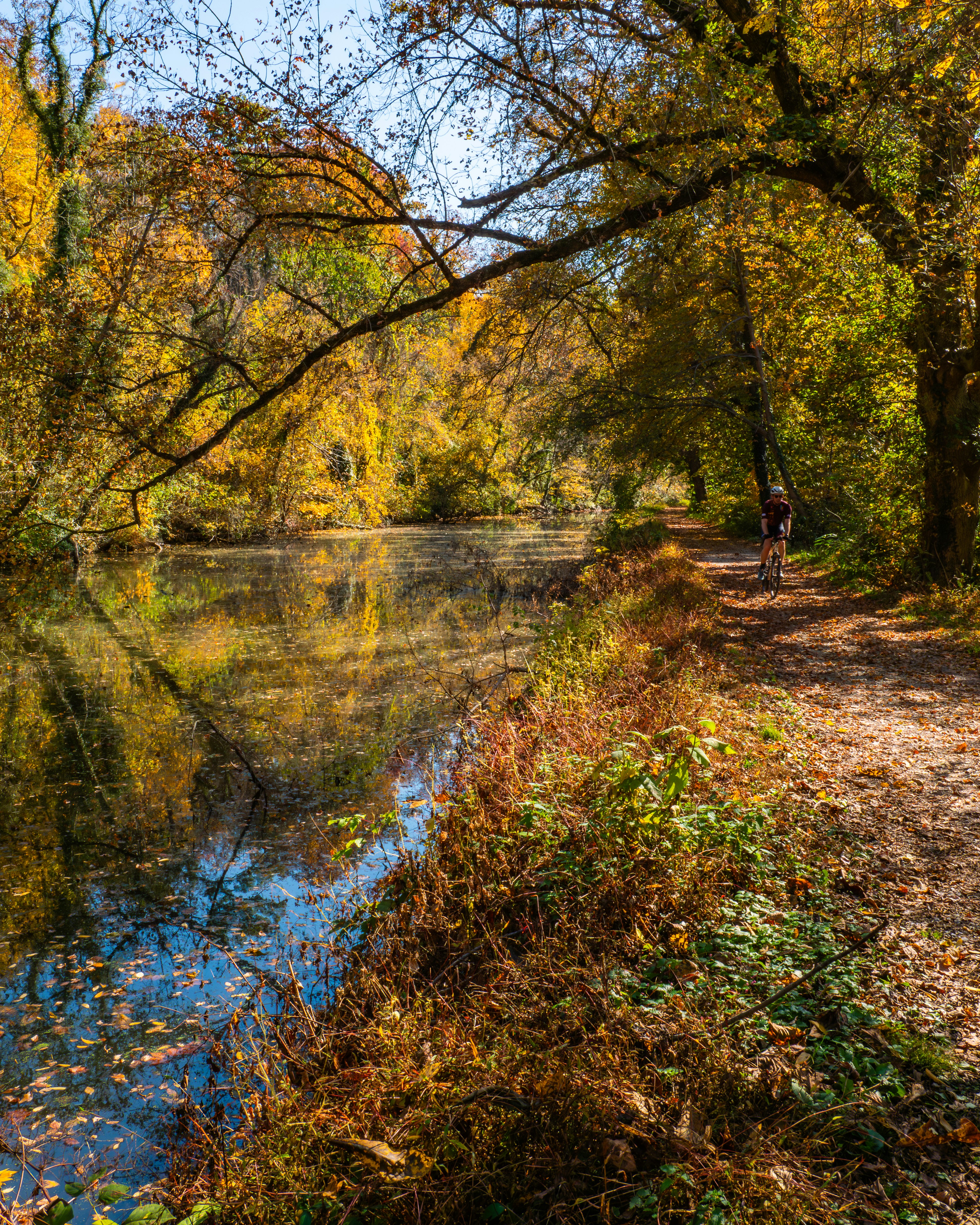 Photo by sschusterphotoart