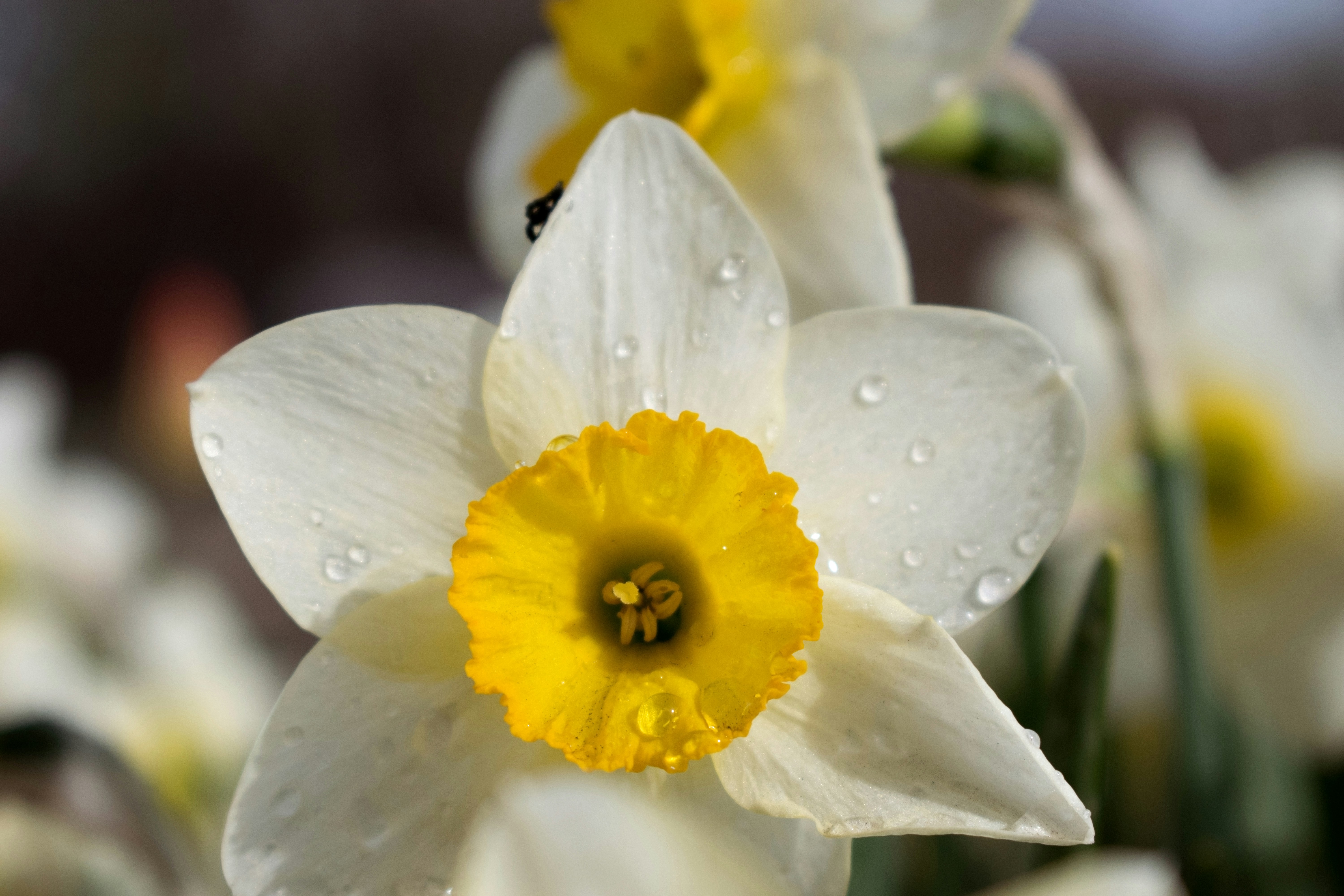 Photo by dimawinterson