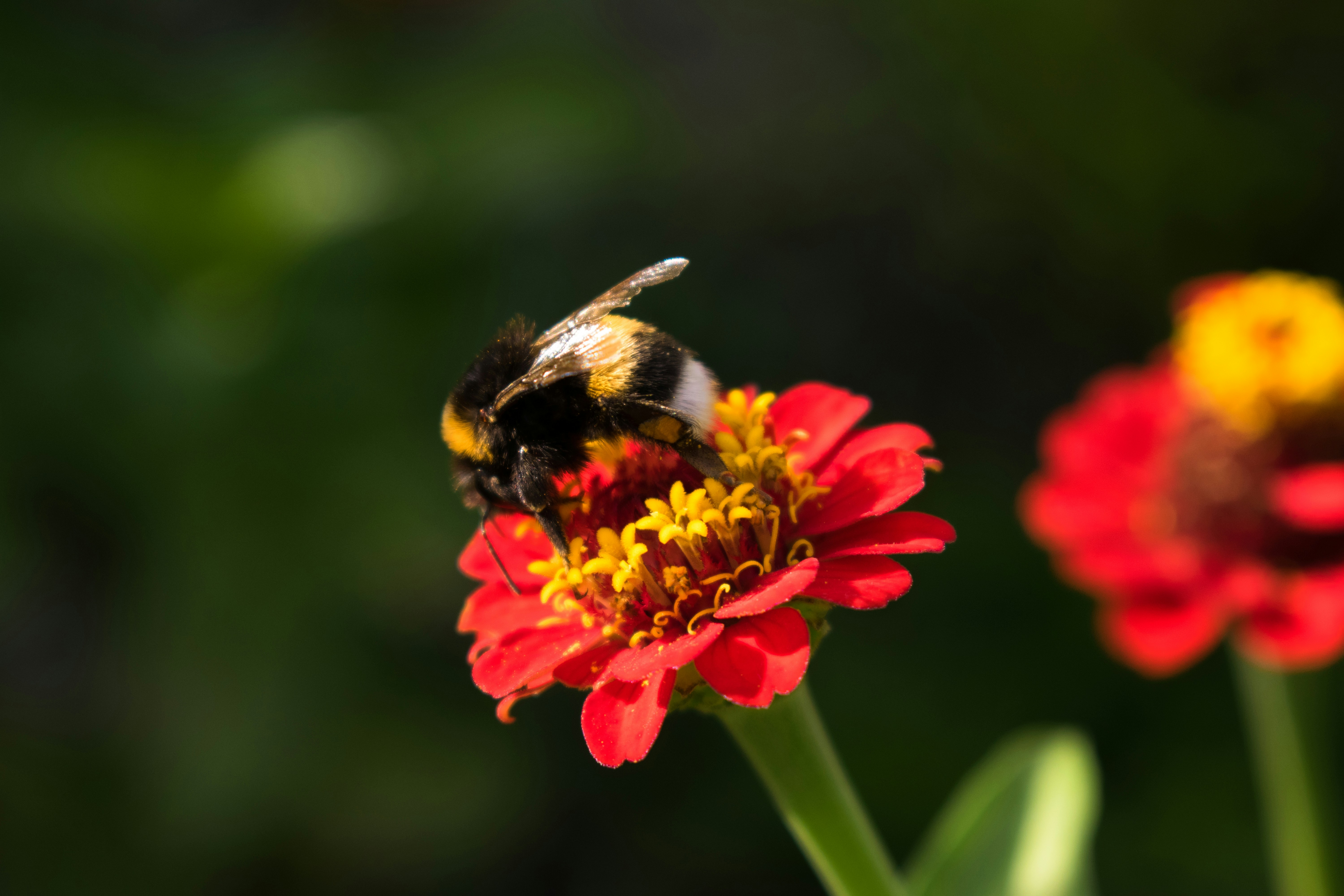 Photo by dimawinterson