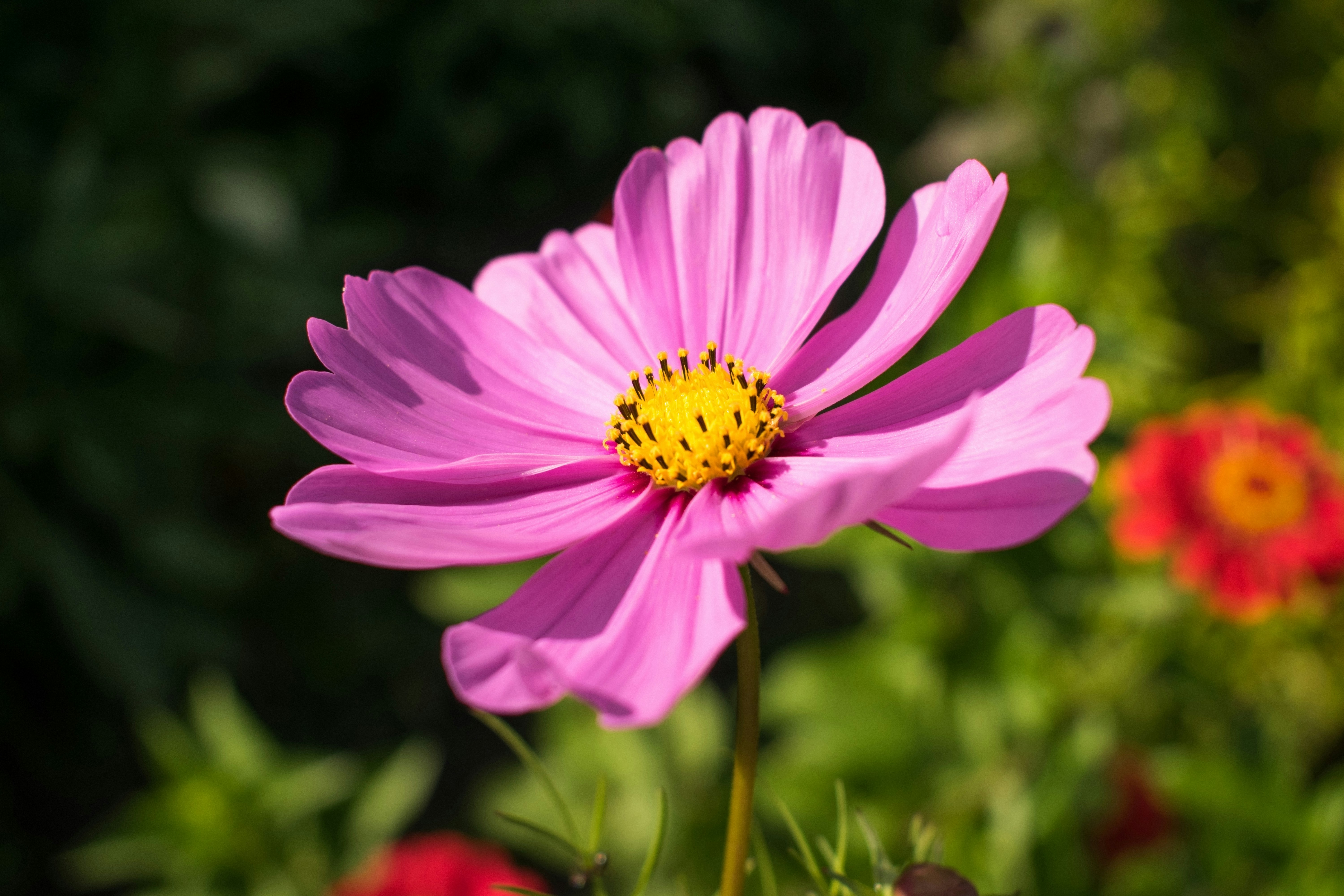 Photo by dimawinterson