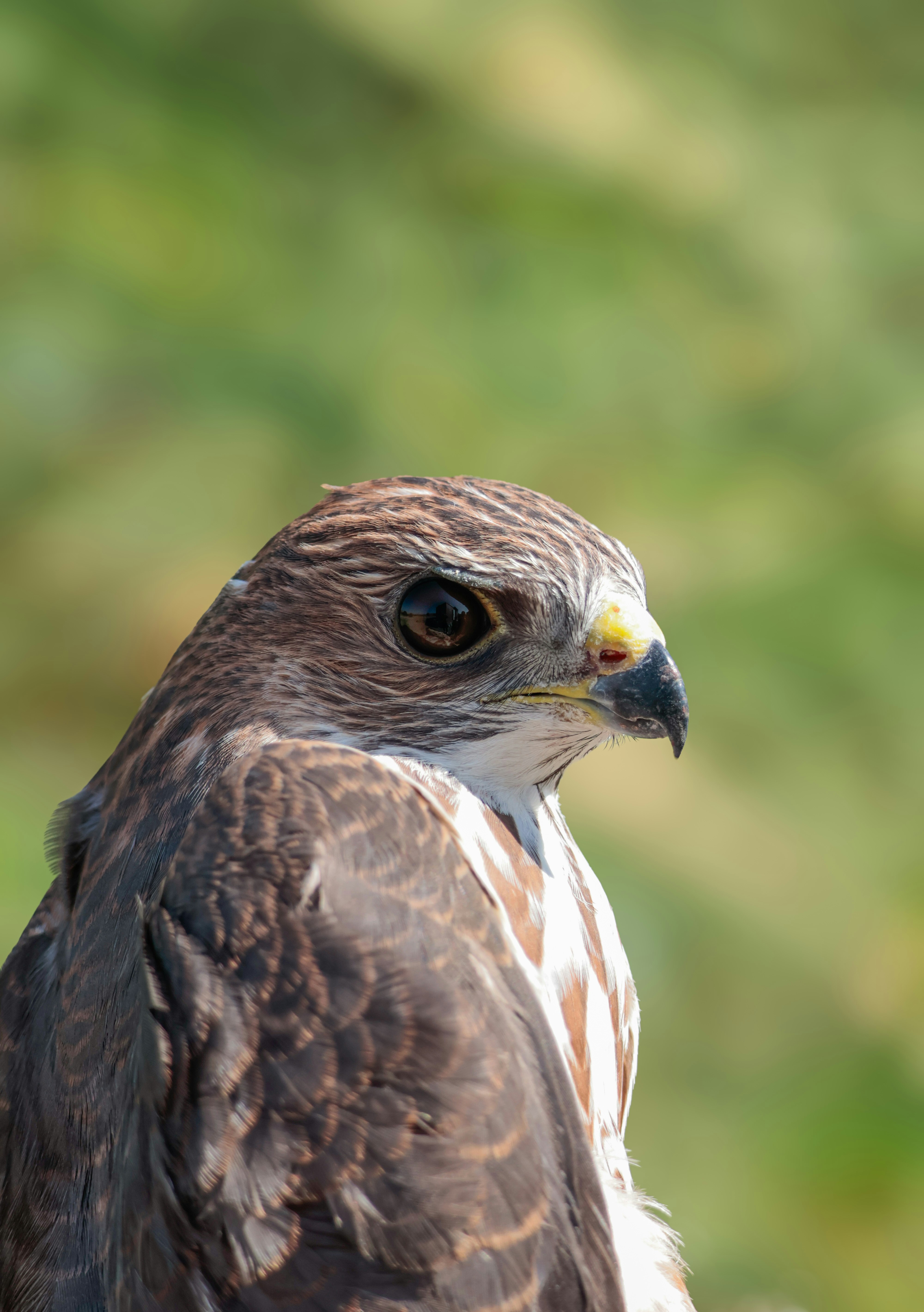 Photo by burakemrecr