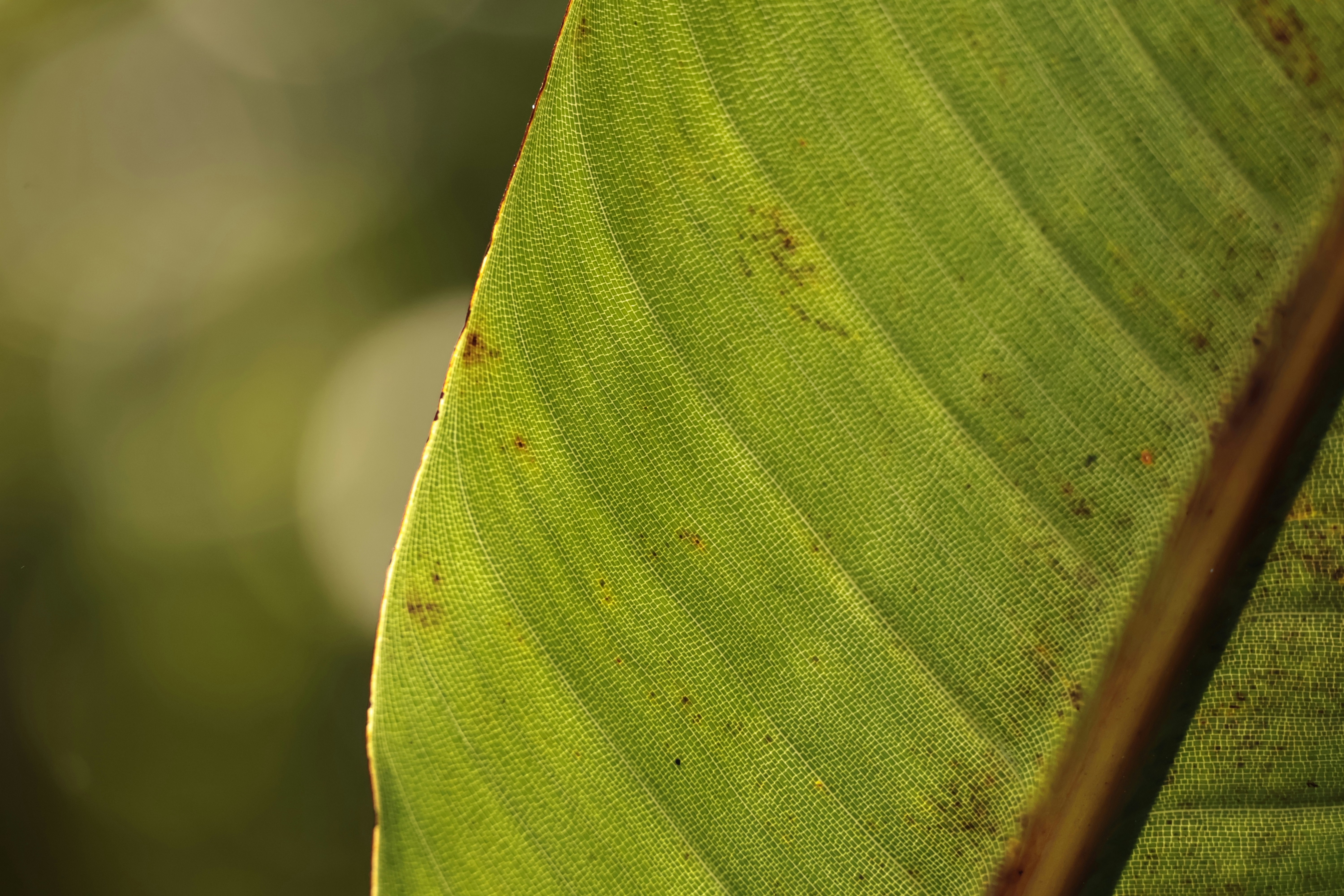 Photo by burakemrecr