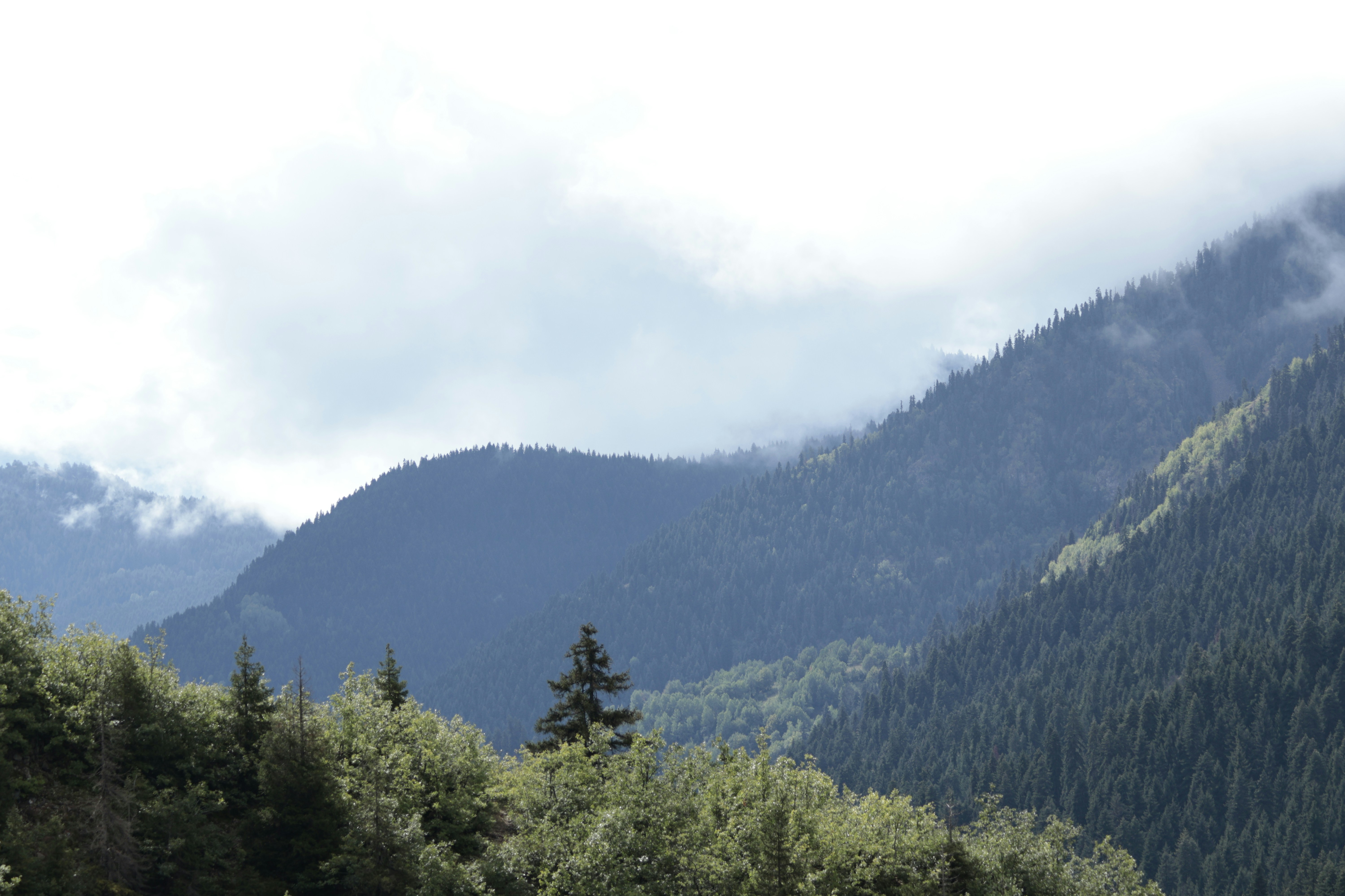 Photo by burakemrecr