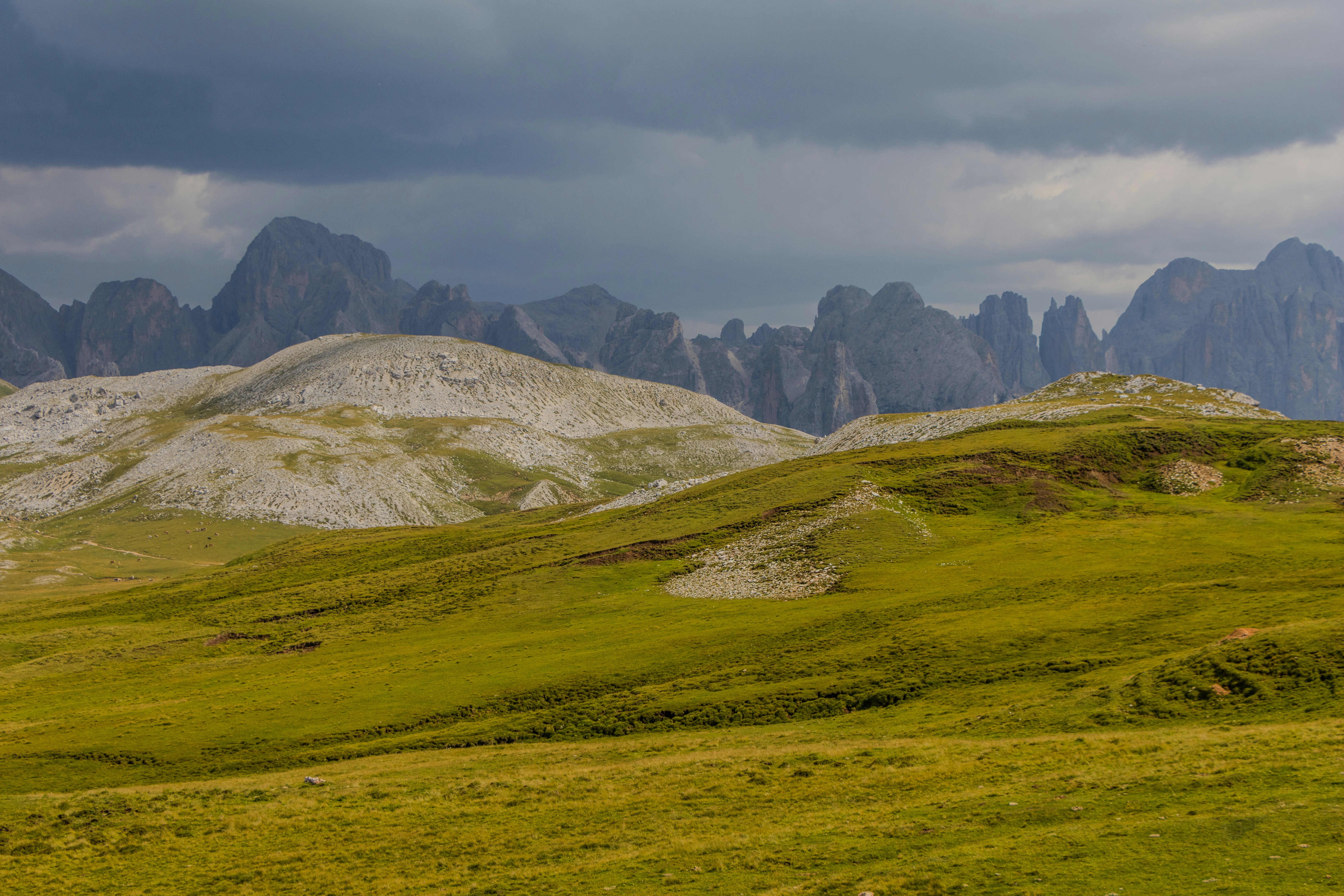 Photo by florianheemeyer