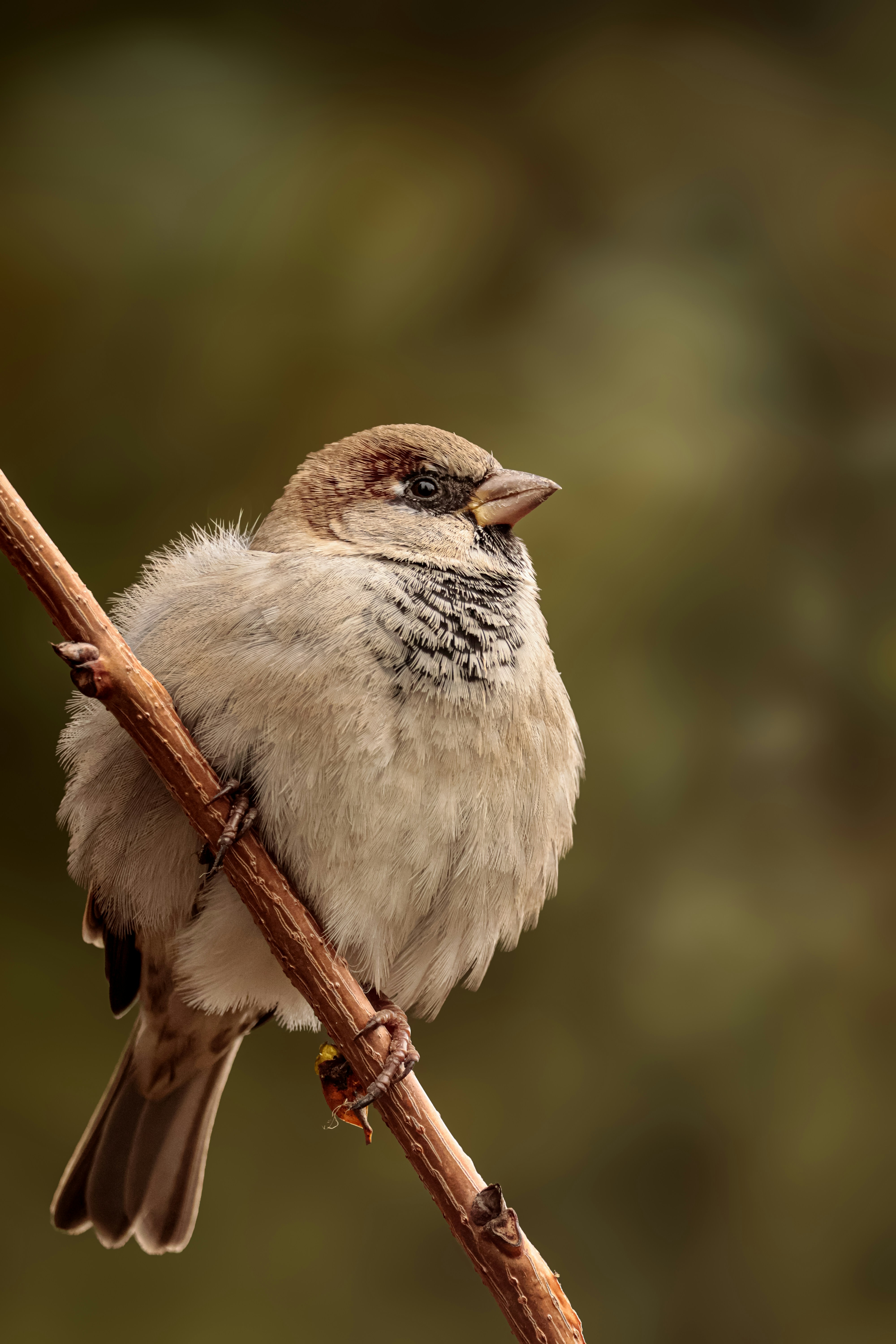 Photo by burakemrecr