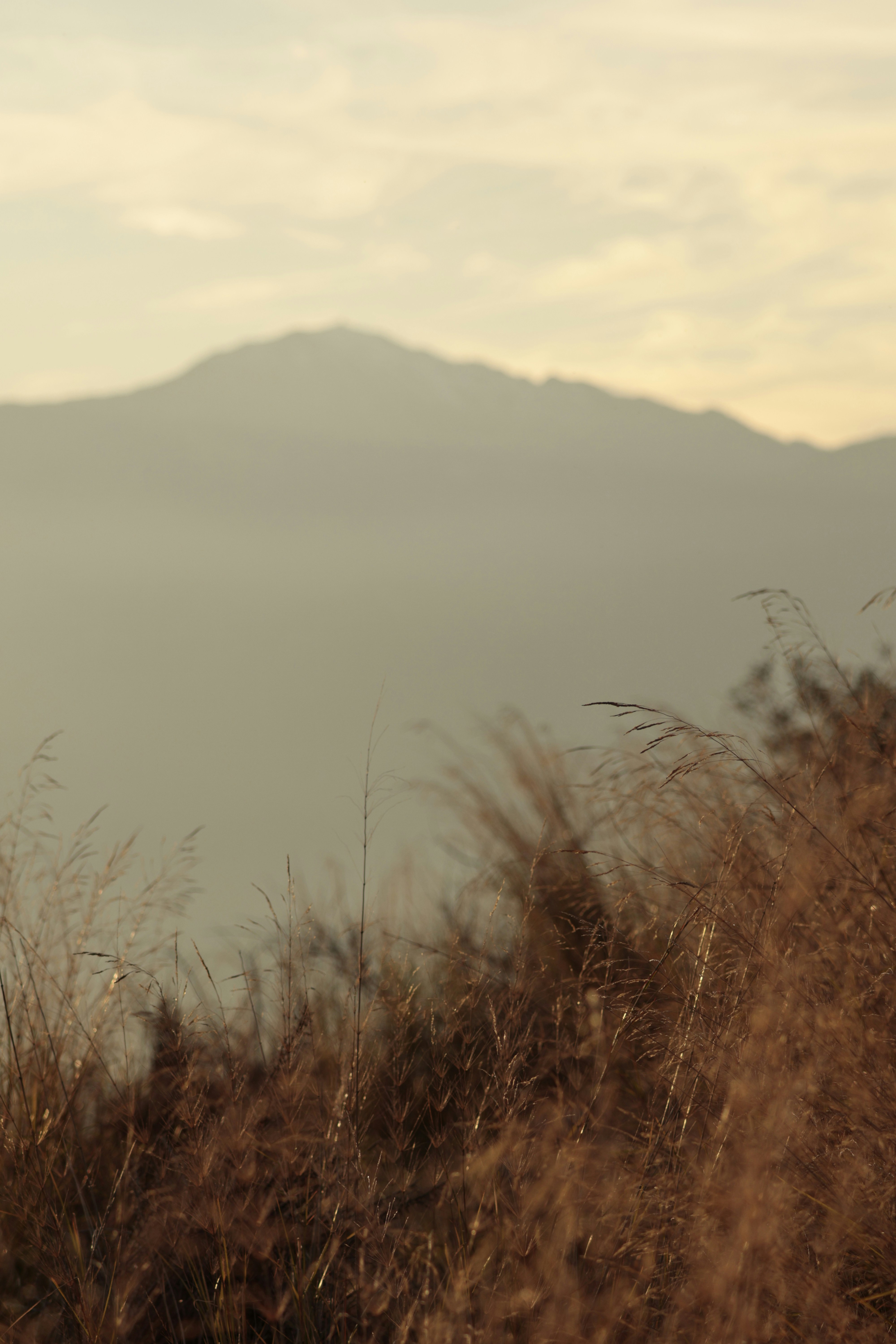 Photo by burakemrecr