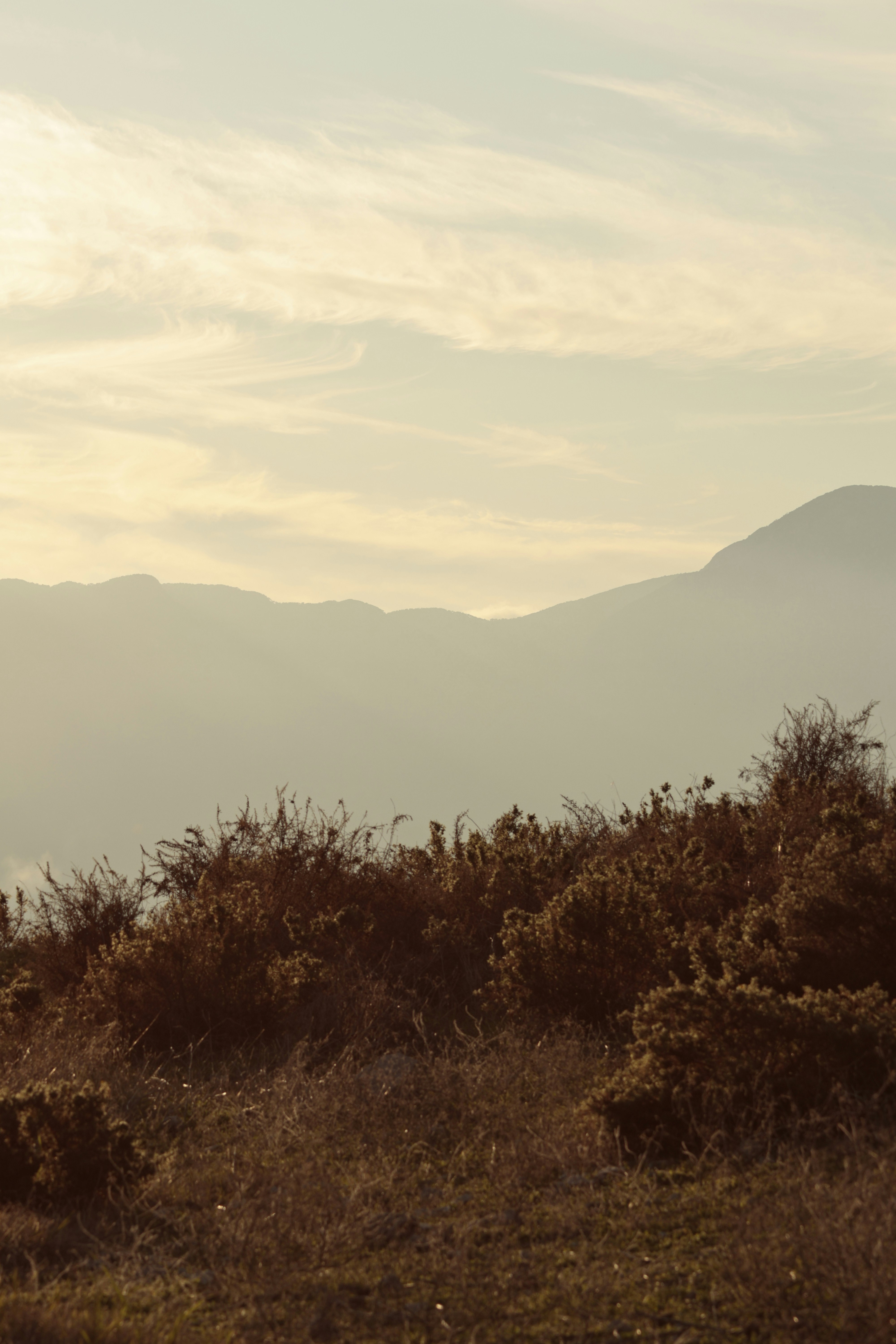 Photo by burakemrecr