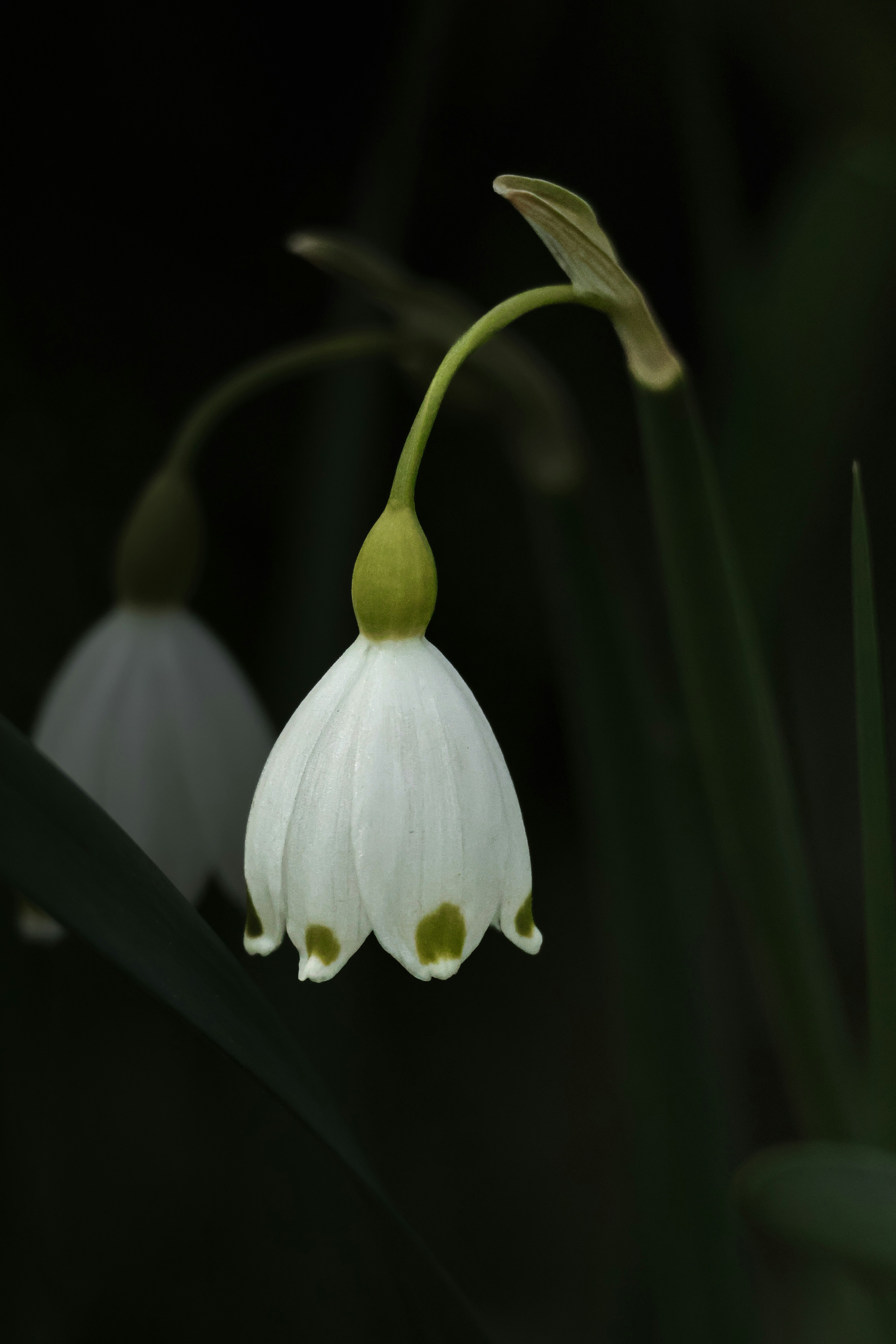 Photo by burakemrecr