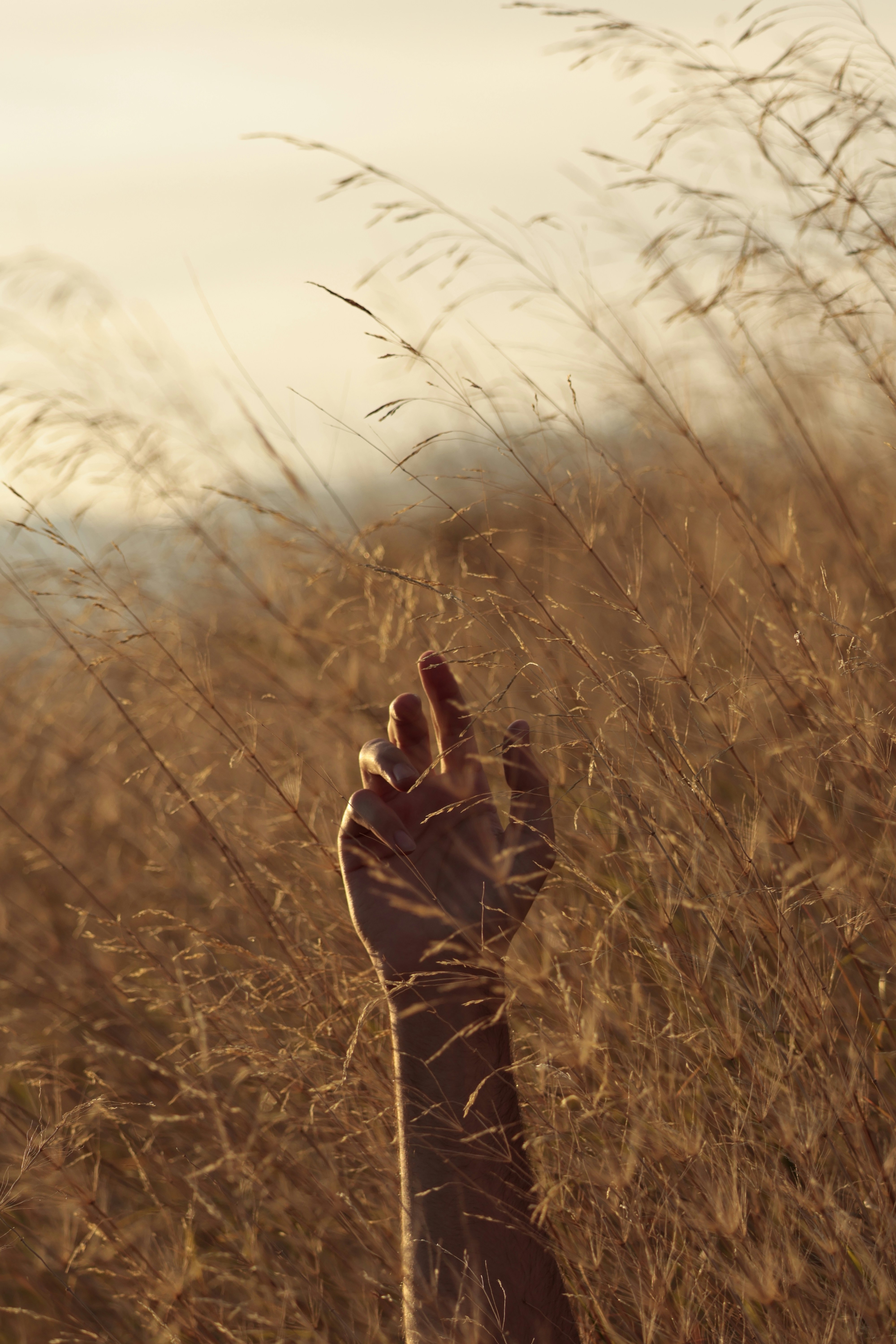 Photo by burakemrecr