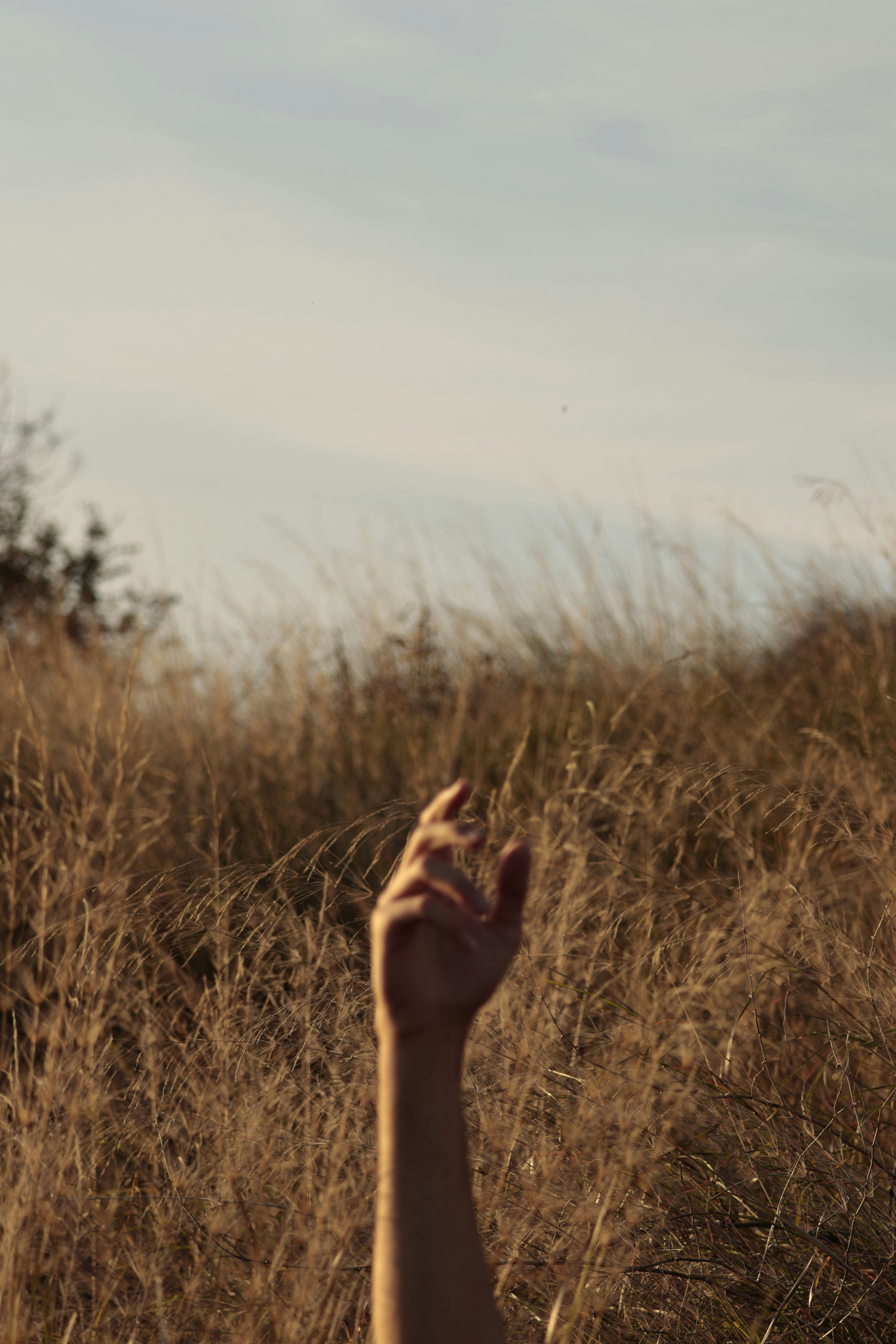 Photo by burakemrecr