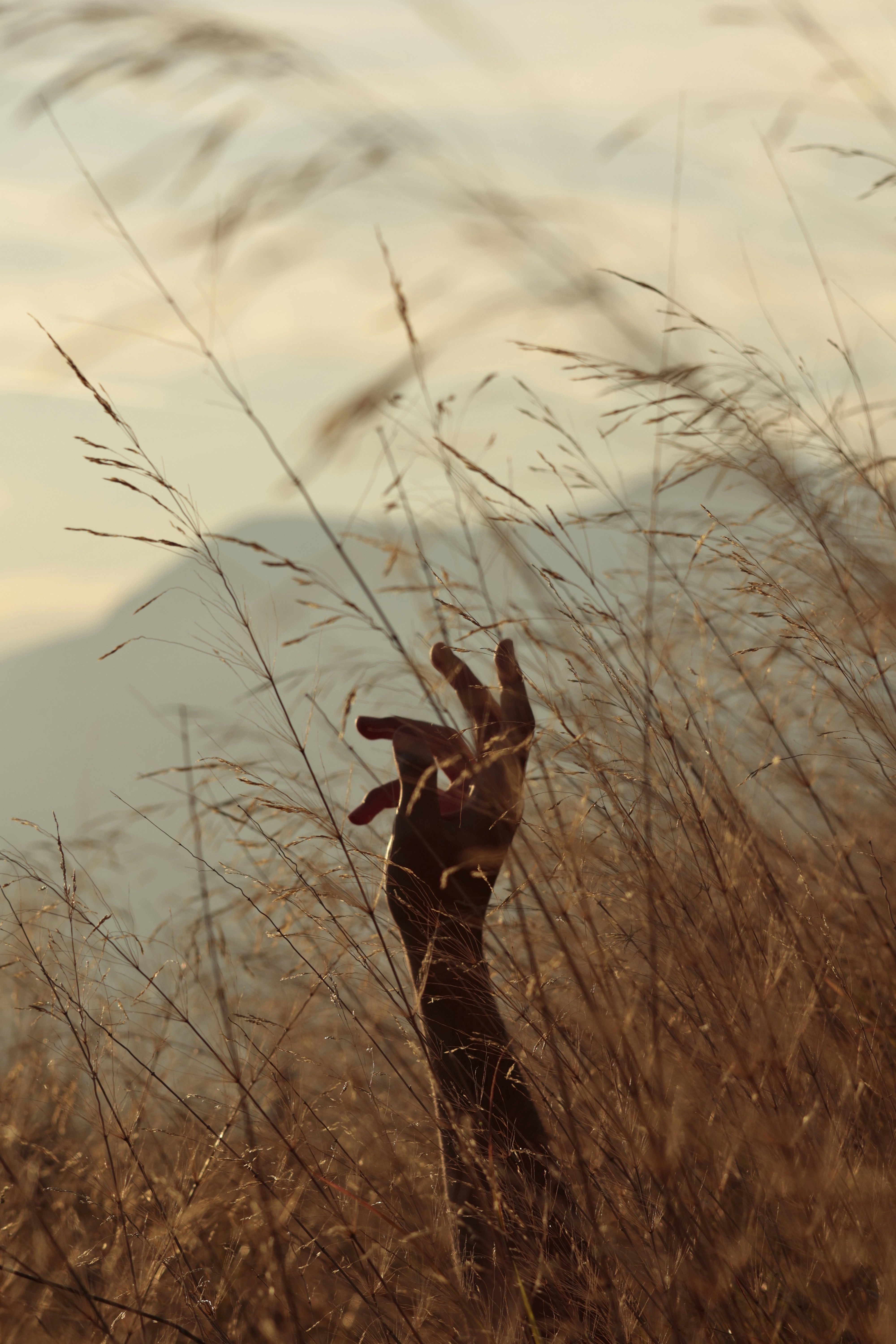 Photo by burakemrecr