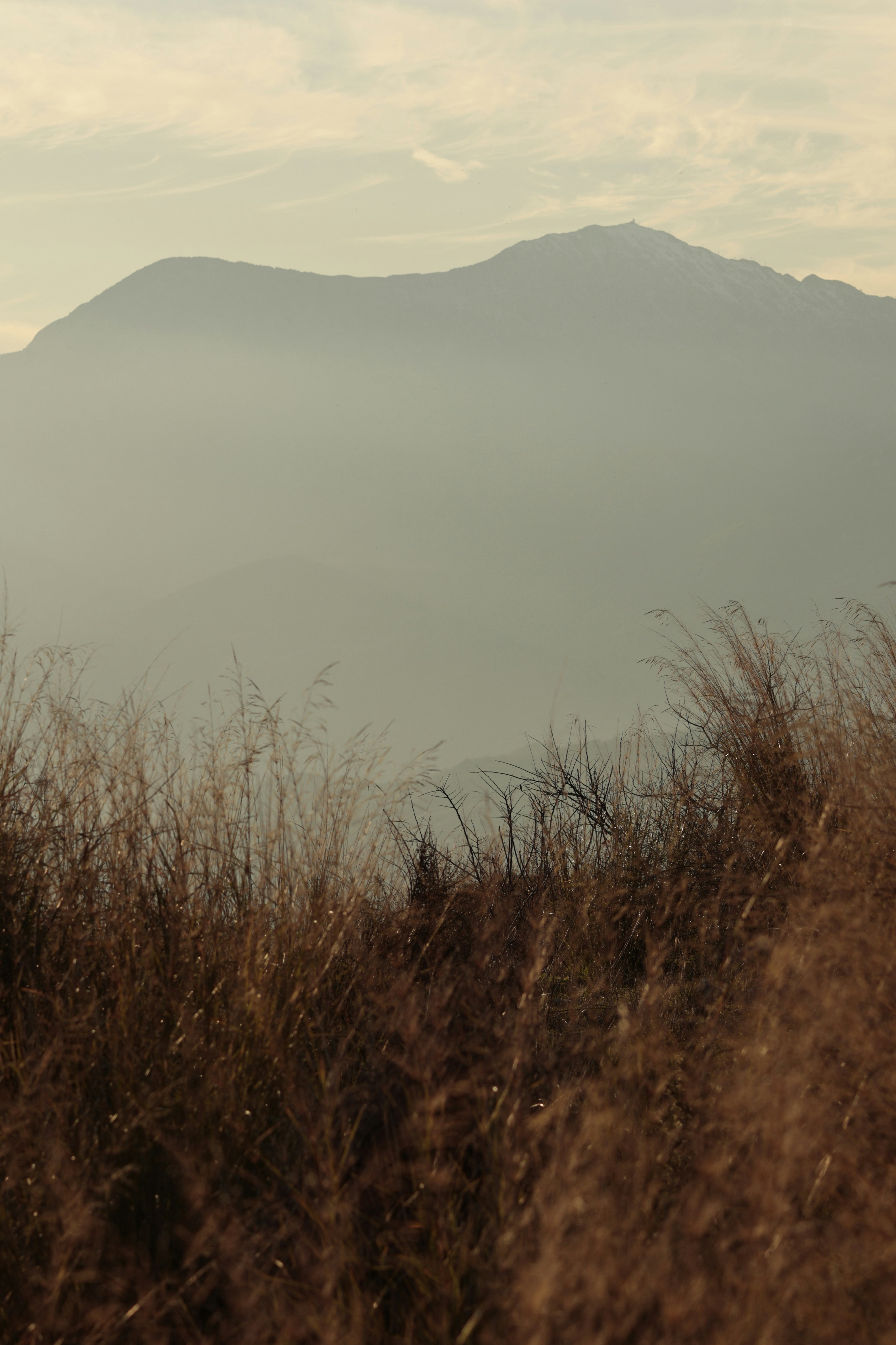 Photo by burakemrecr