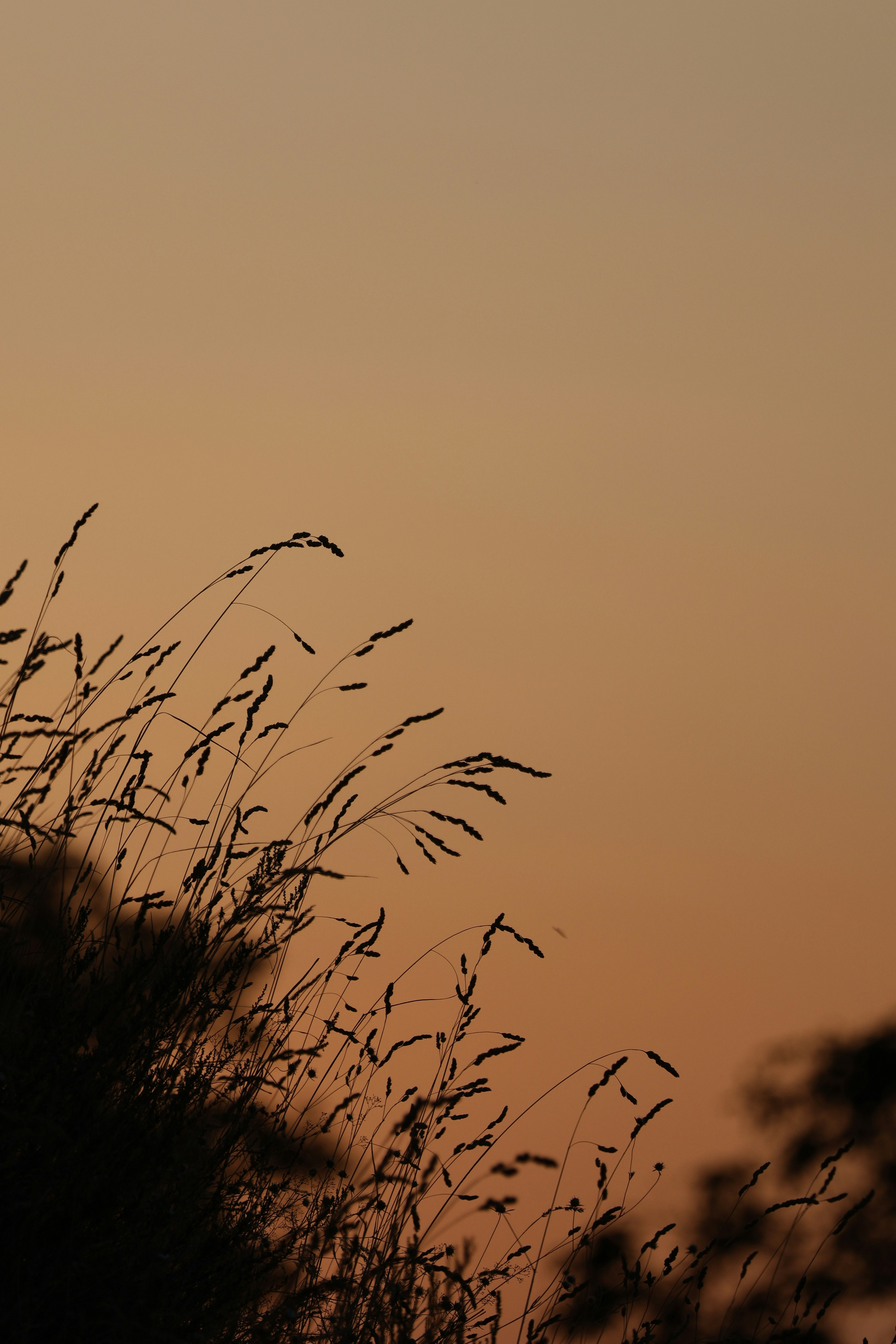 Photo by burakemrecr