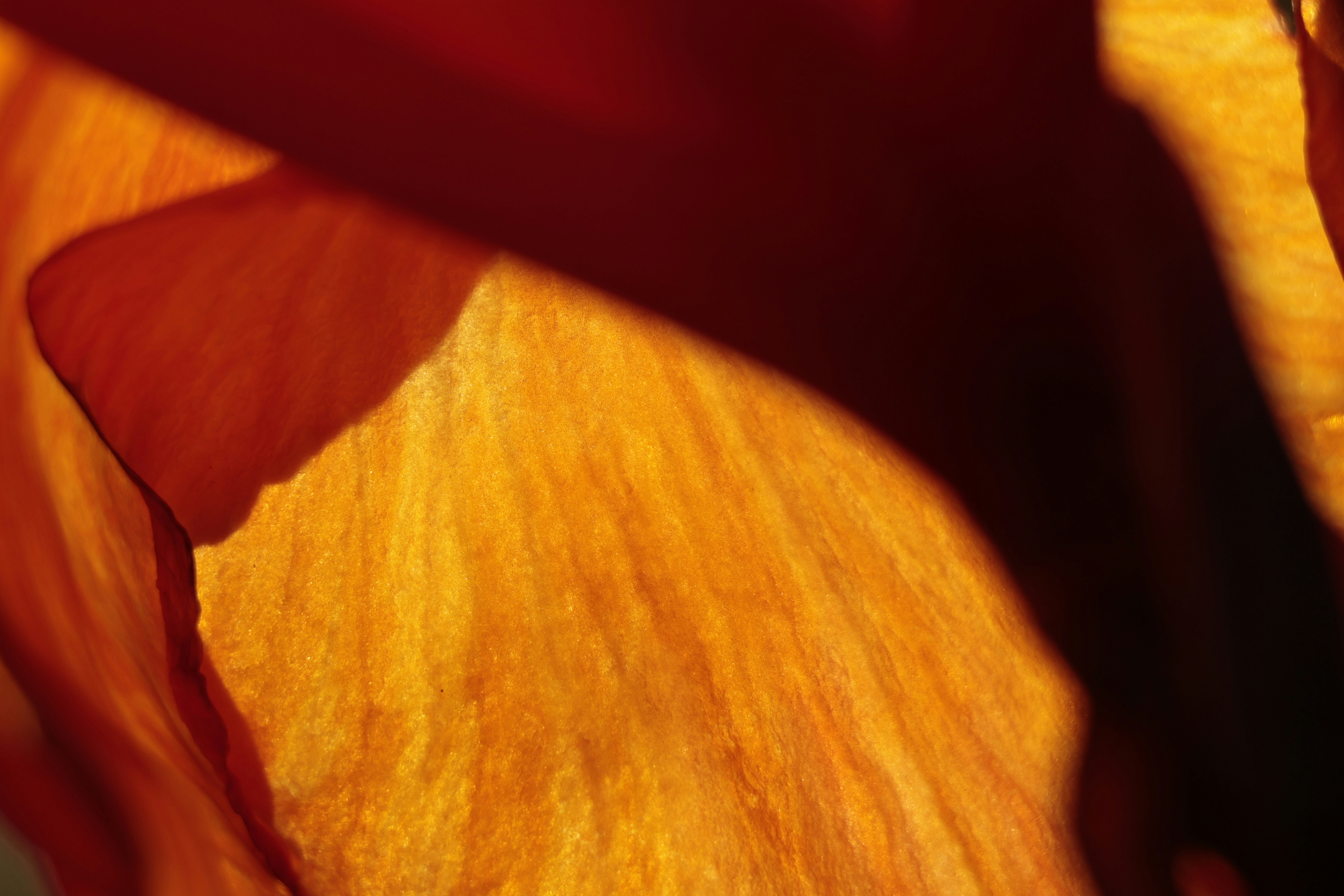 Photo by burakemrecr