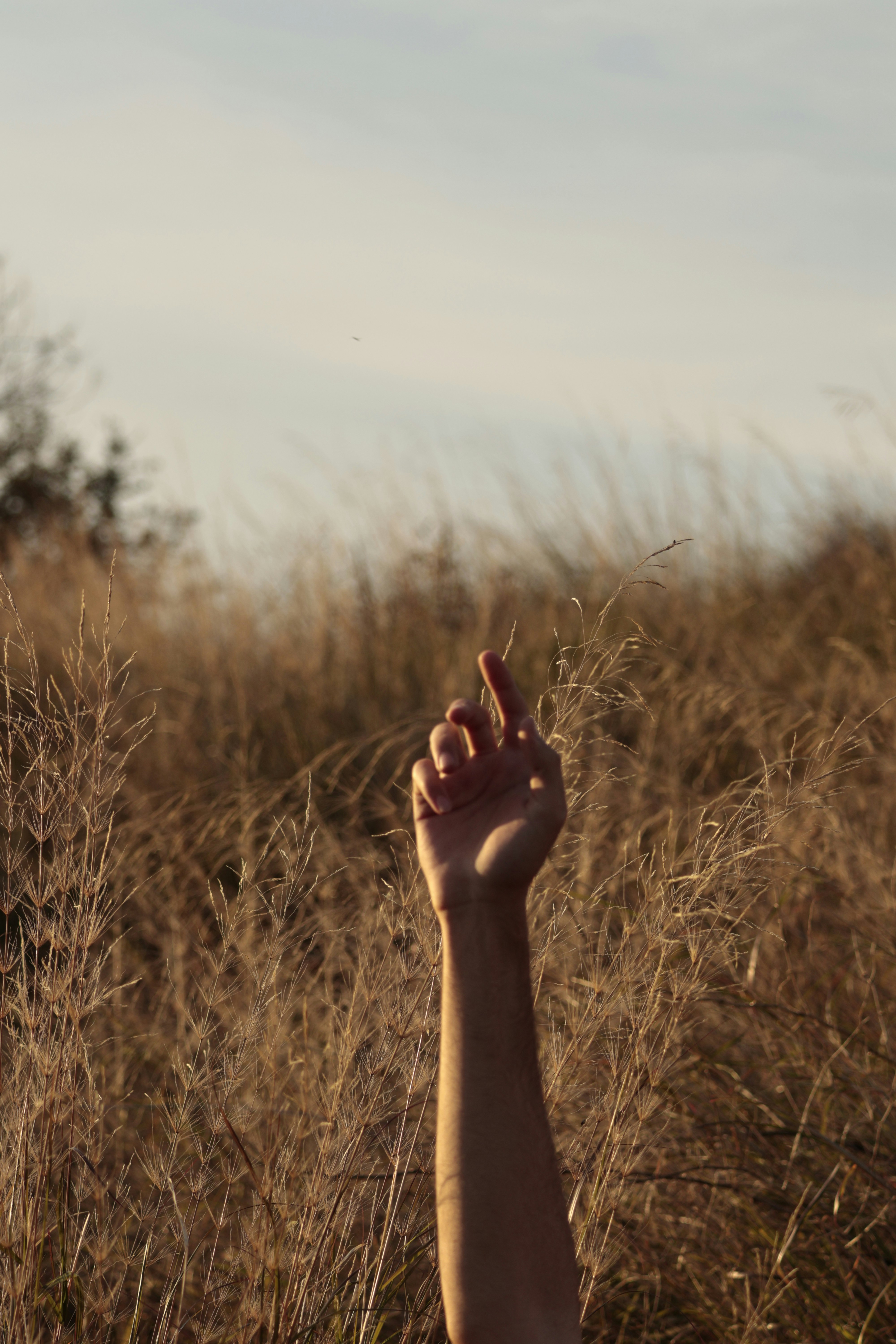 Photo by burakemrecr