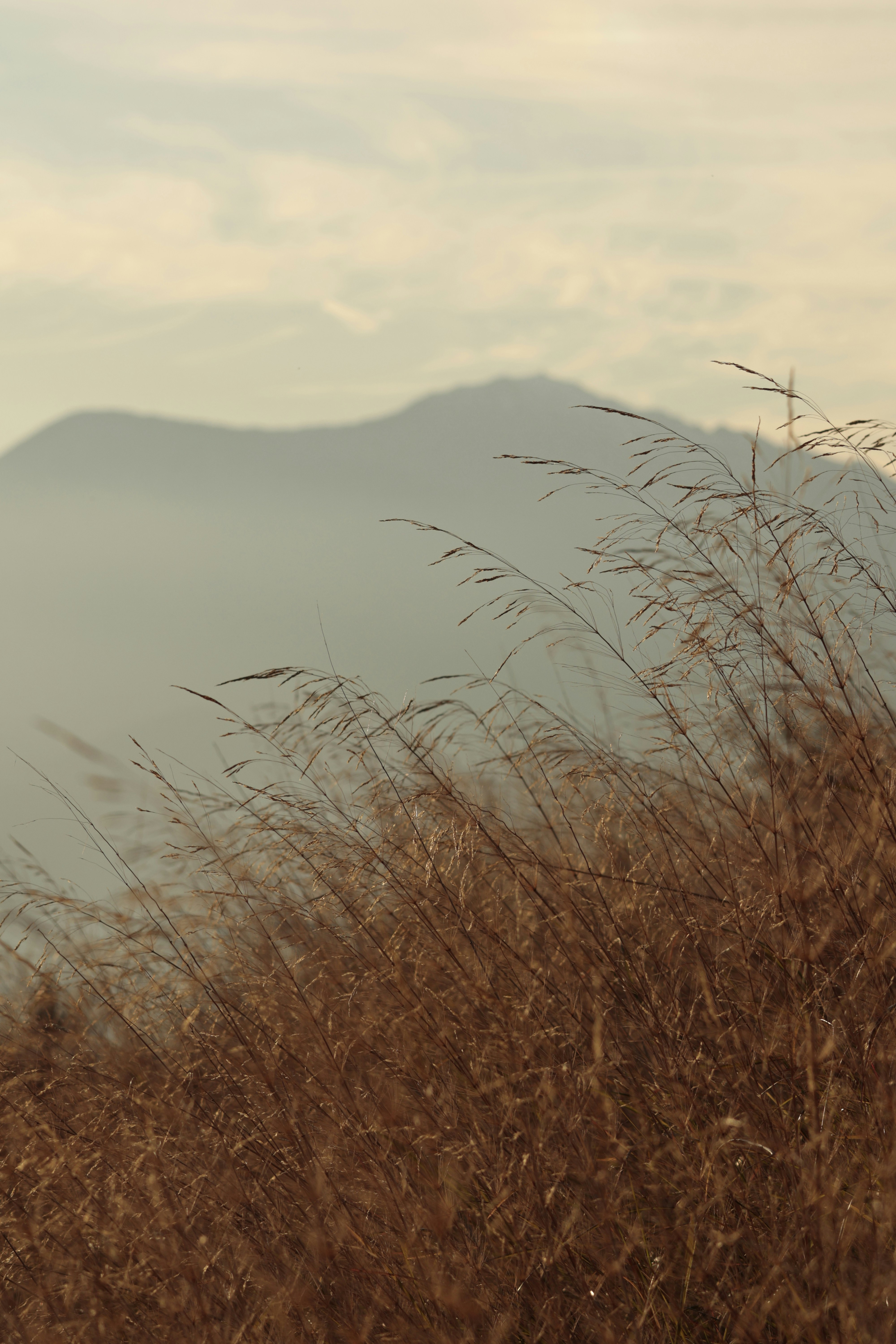 Photo by burakemrecr