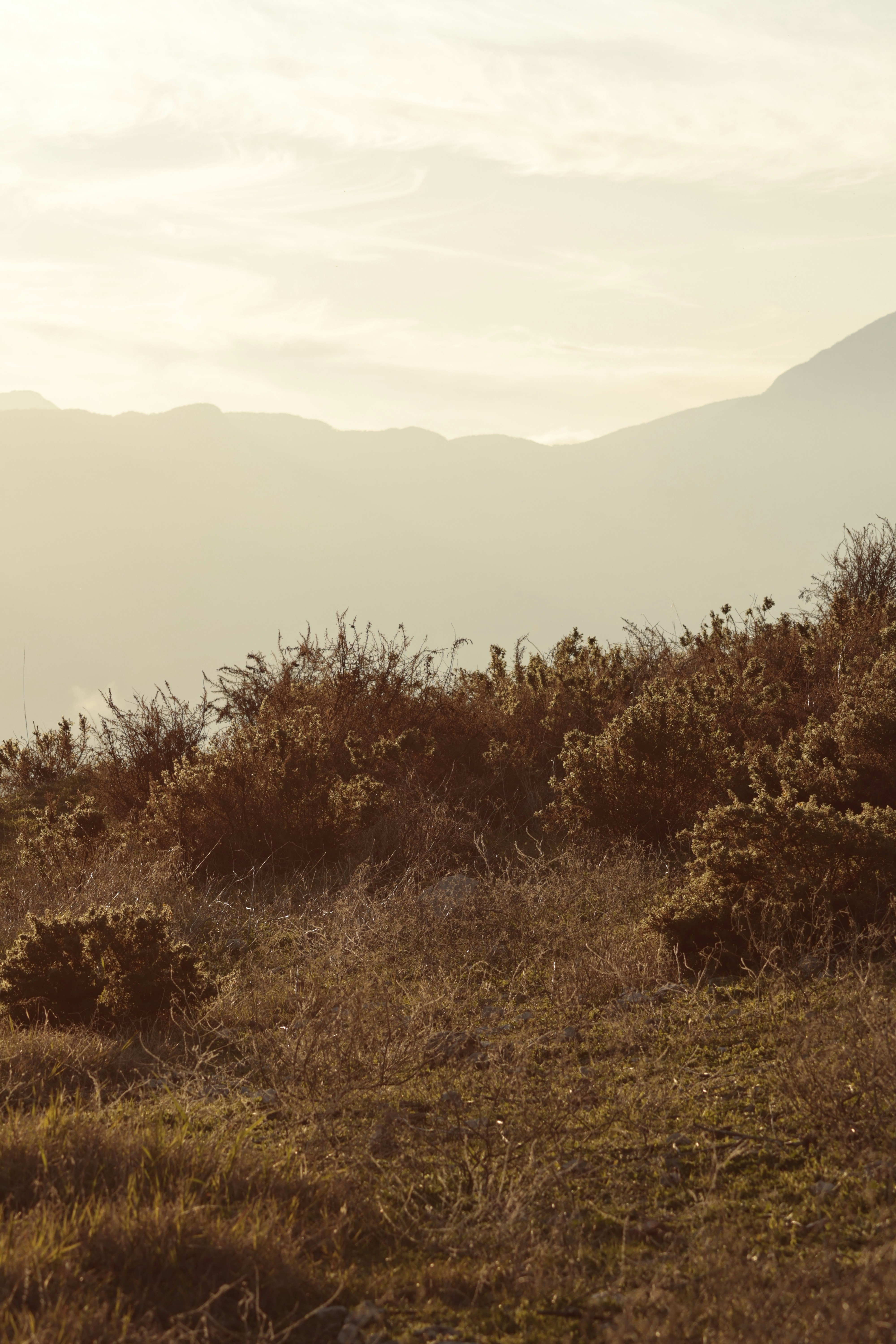 Photo by burakemrecr