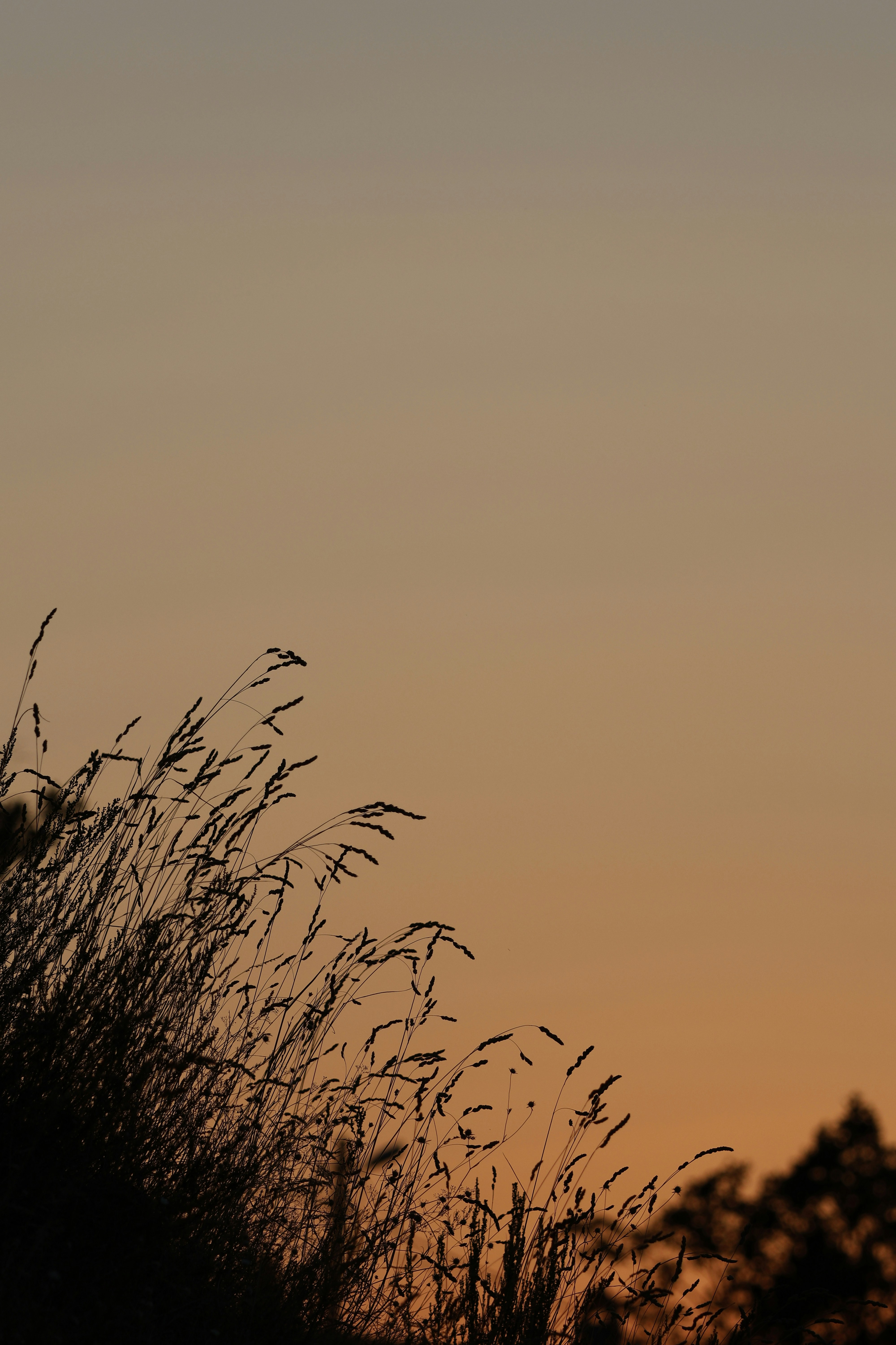 Photo by burakemrecr