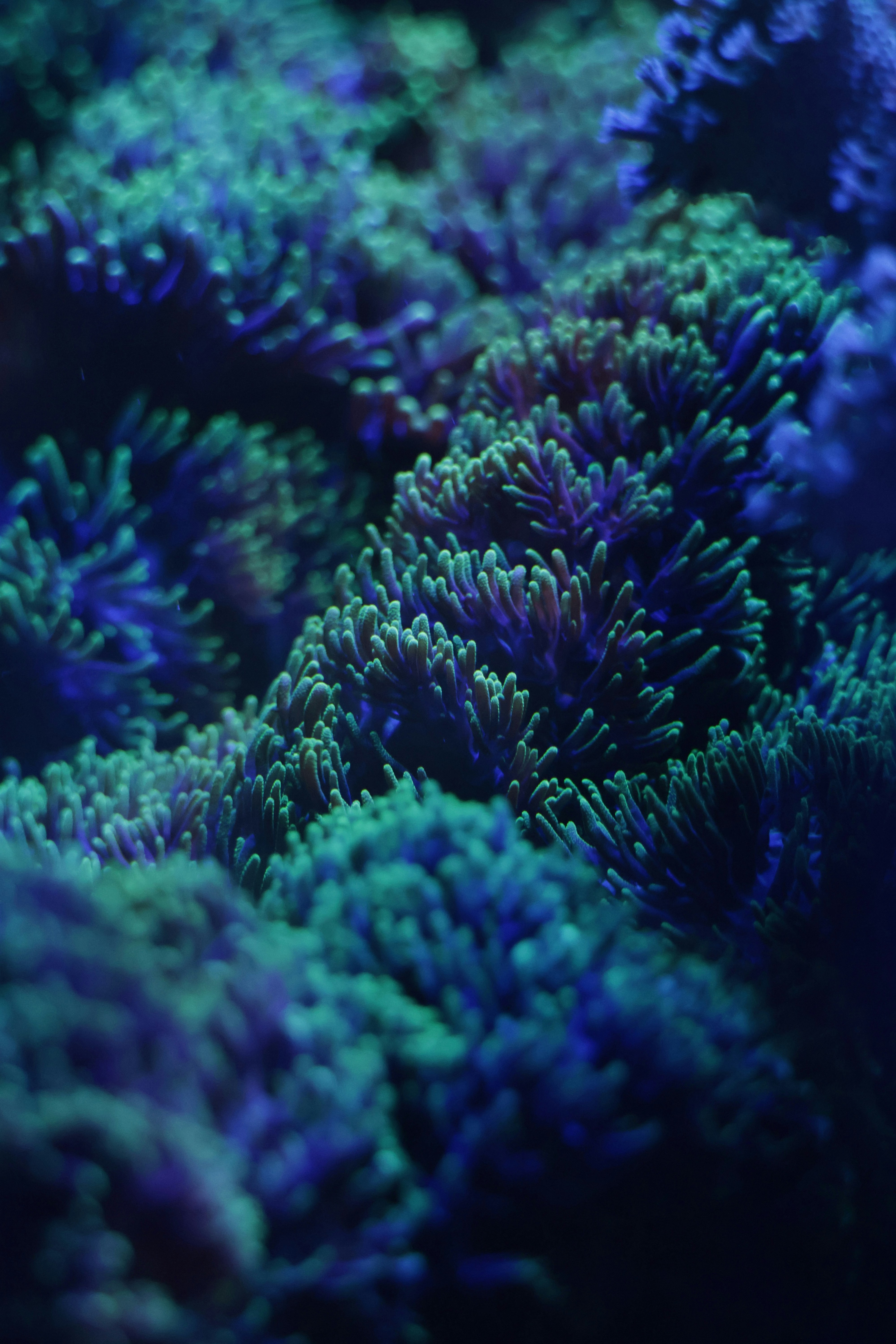 Photo by burakemrecr