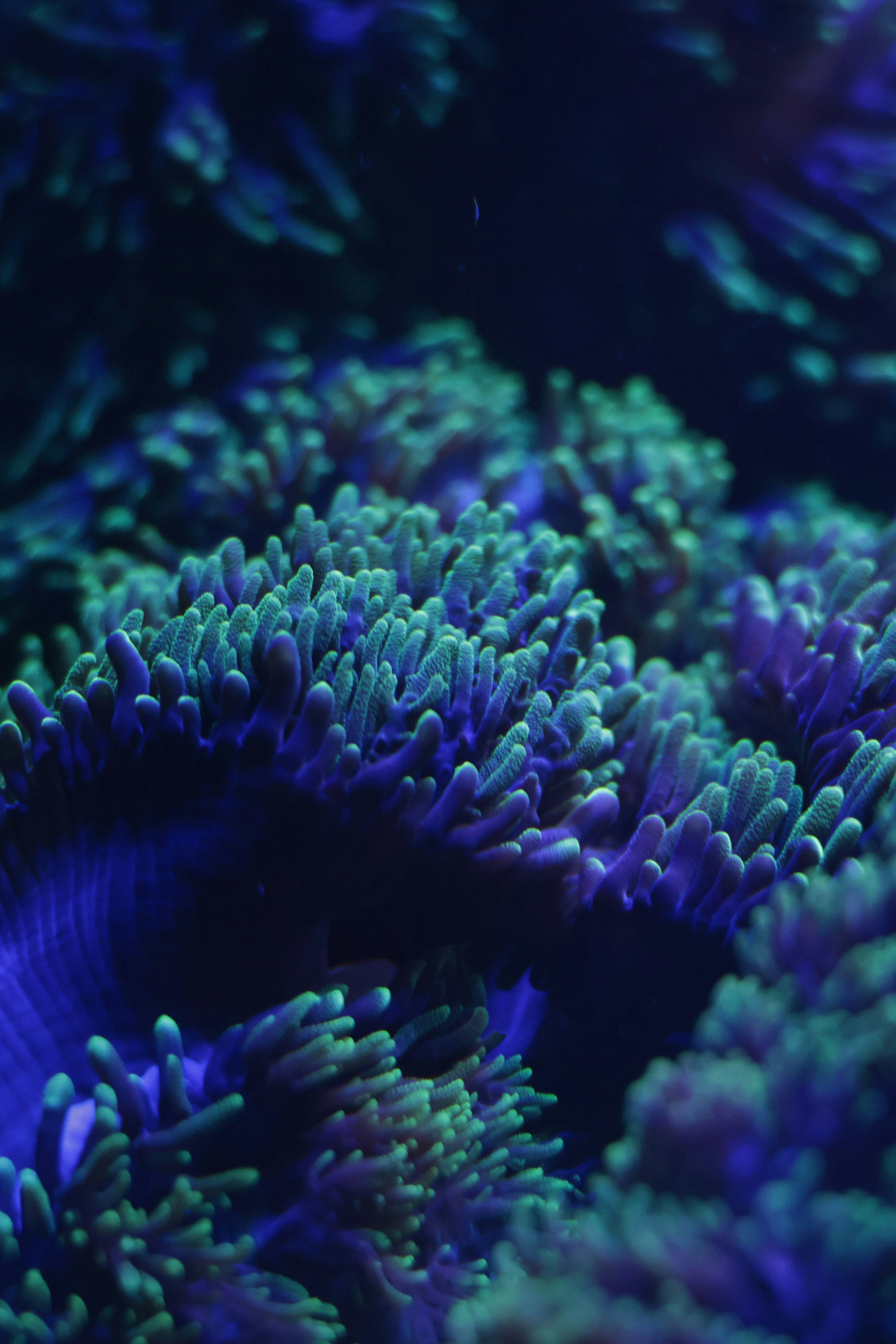 Photo by burakemrecr