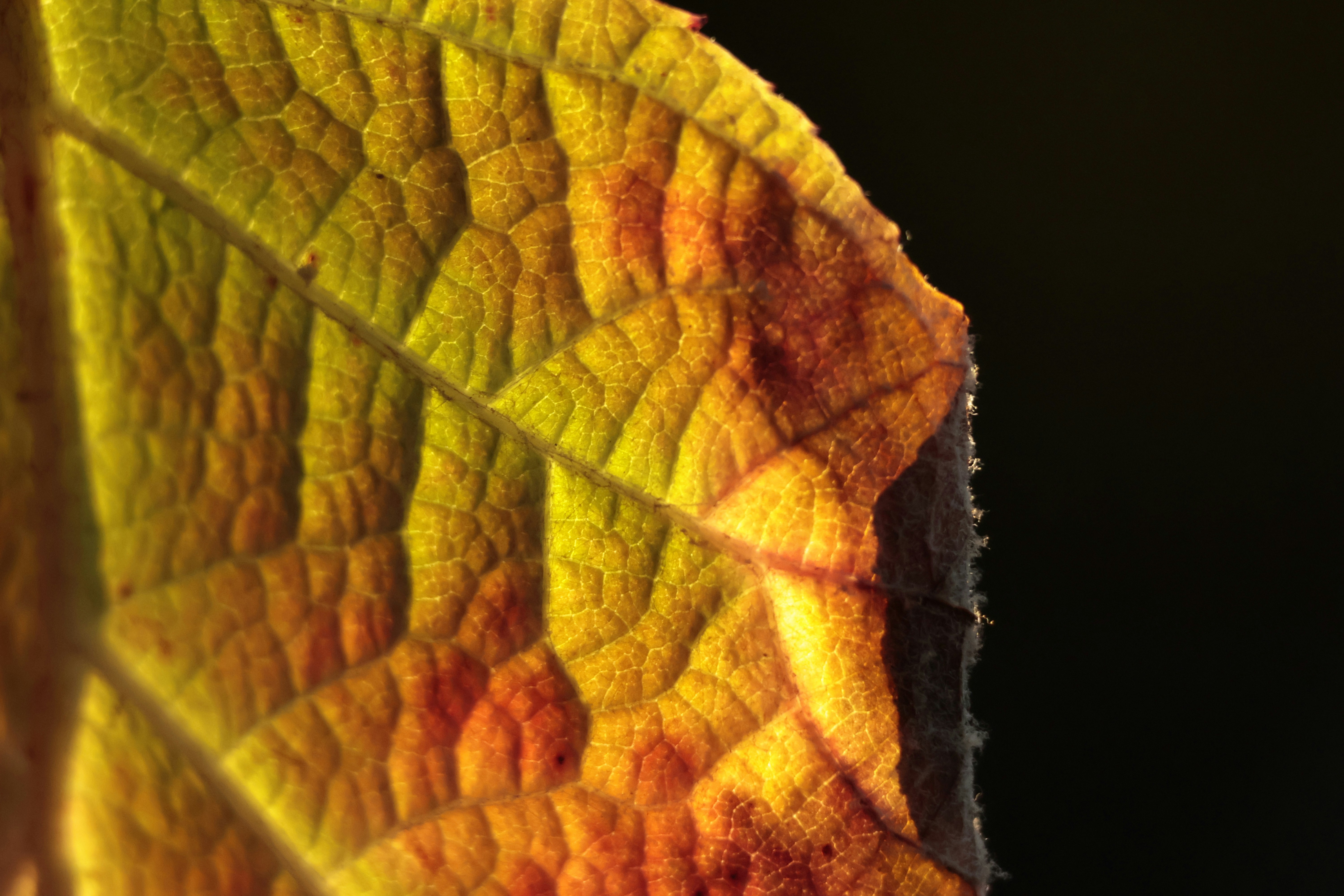 Photo by burakemrecr