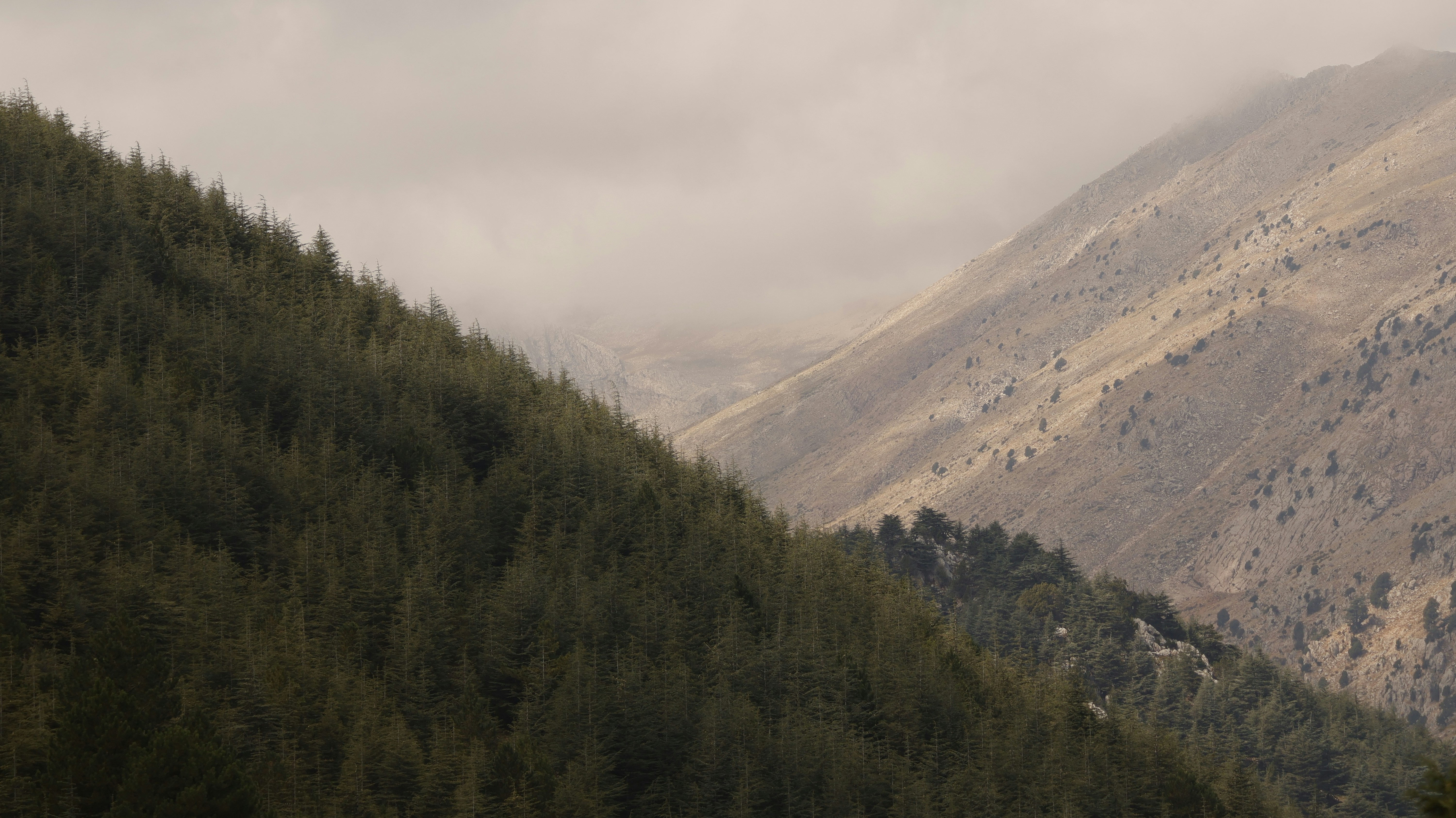 Photo by burakemrecr