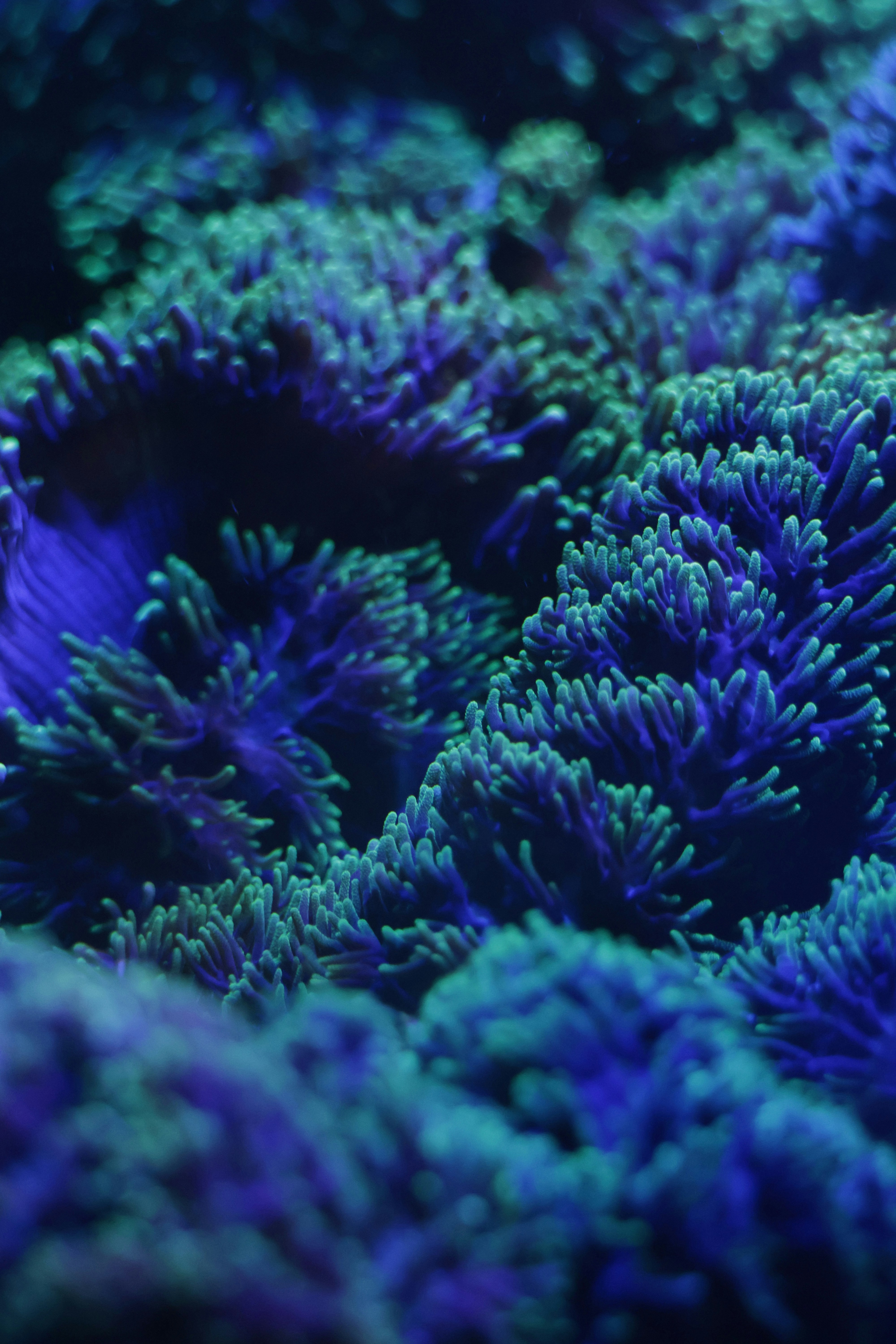 Photo by burakemrecr