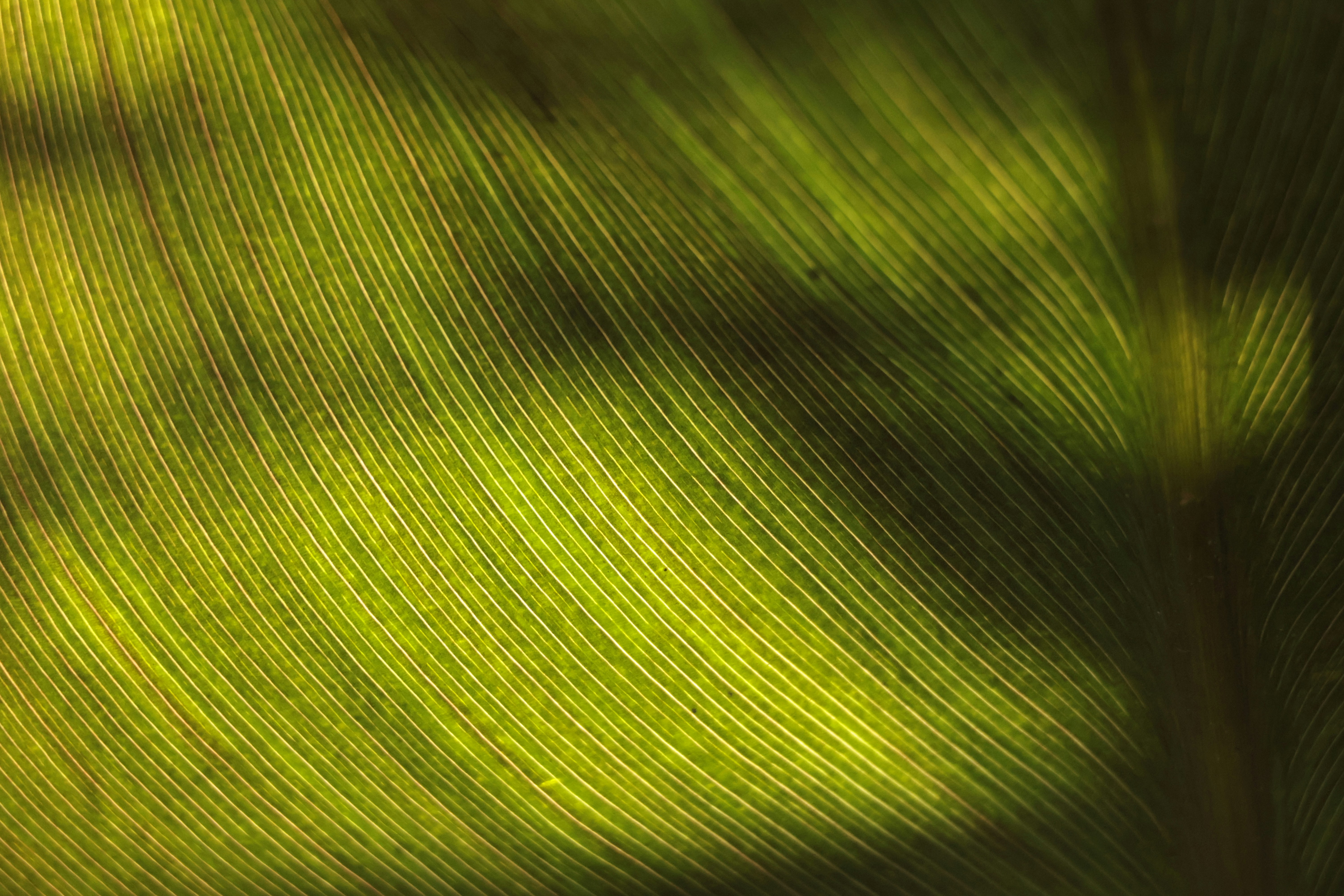 Photo by burakemrecr