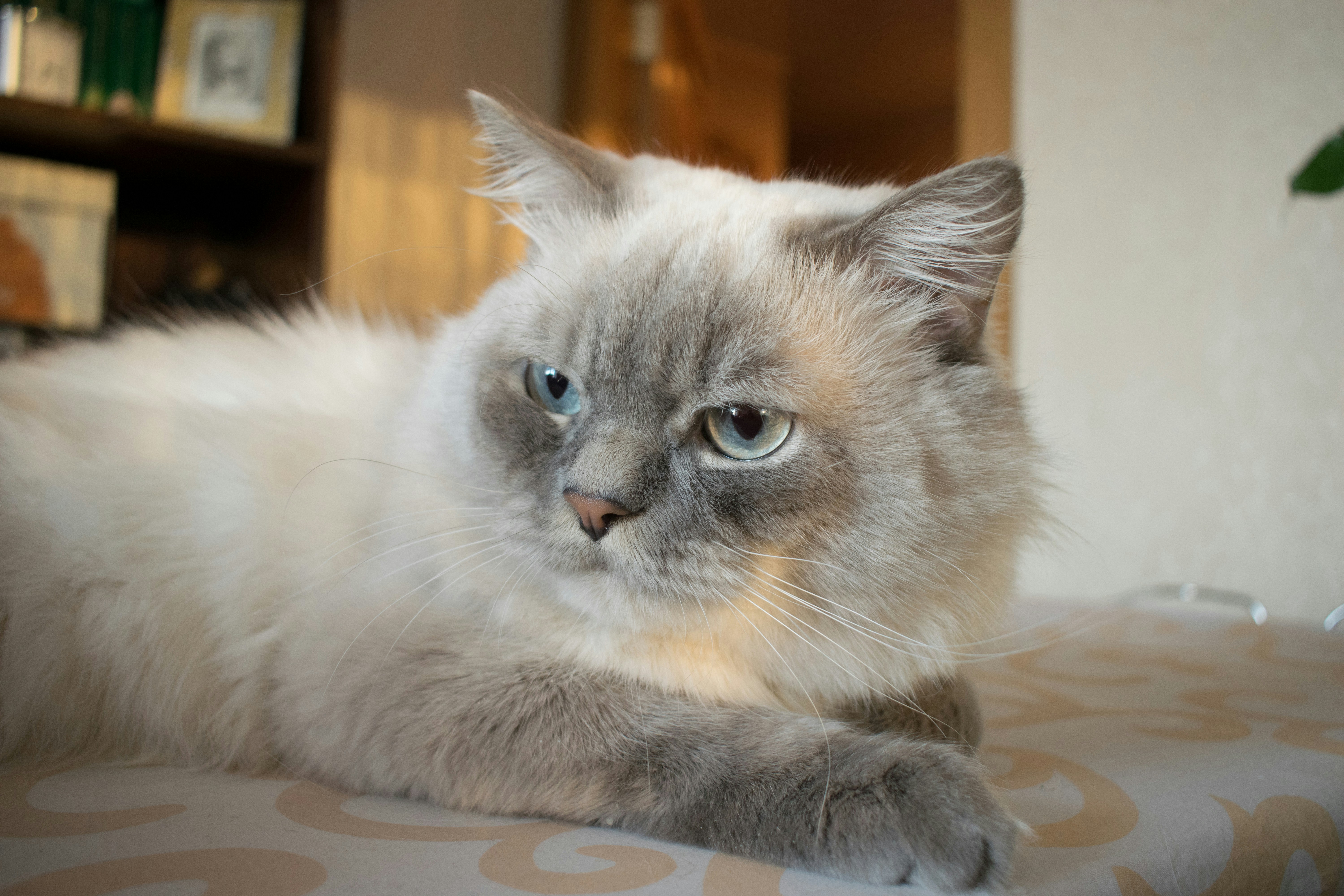 Photo by dimawinterson