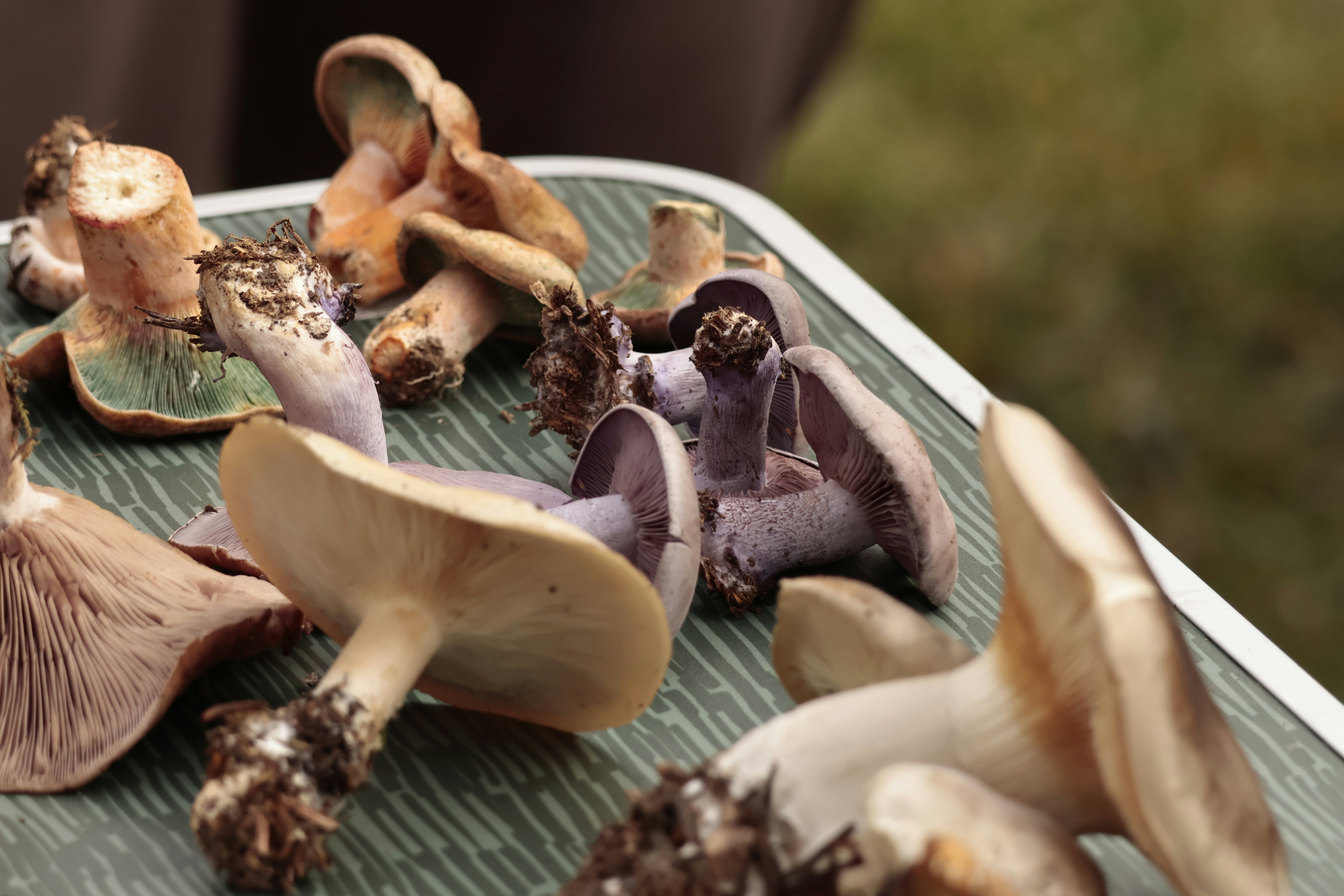 Photo by burakemrecr