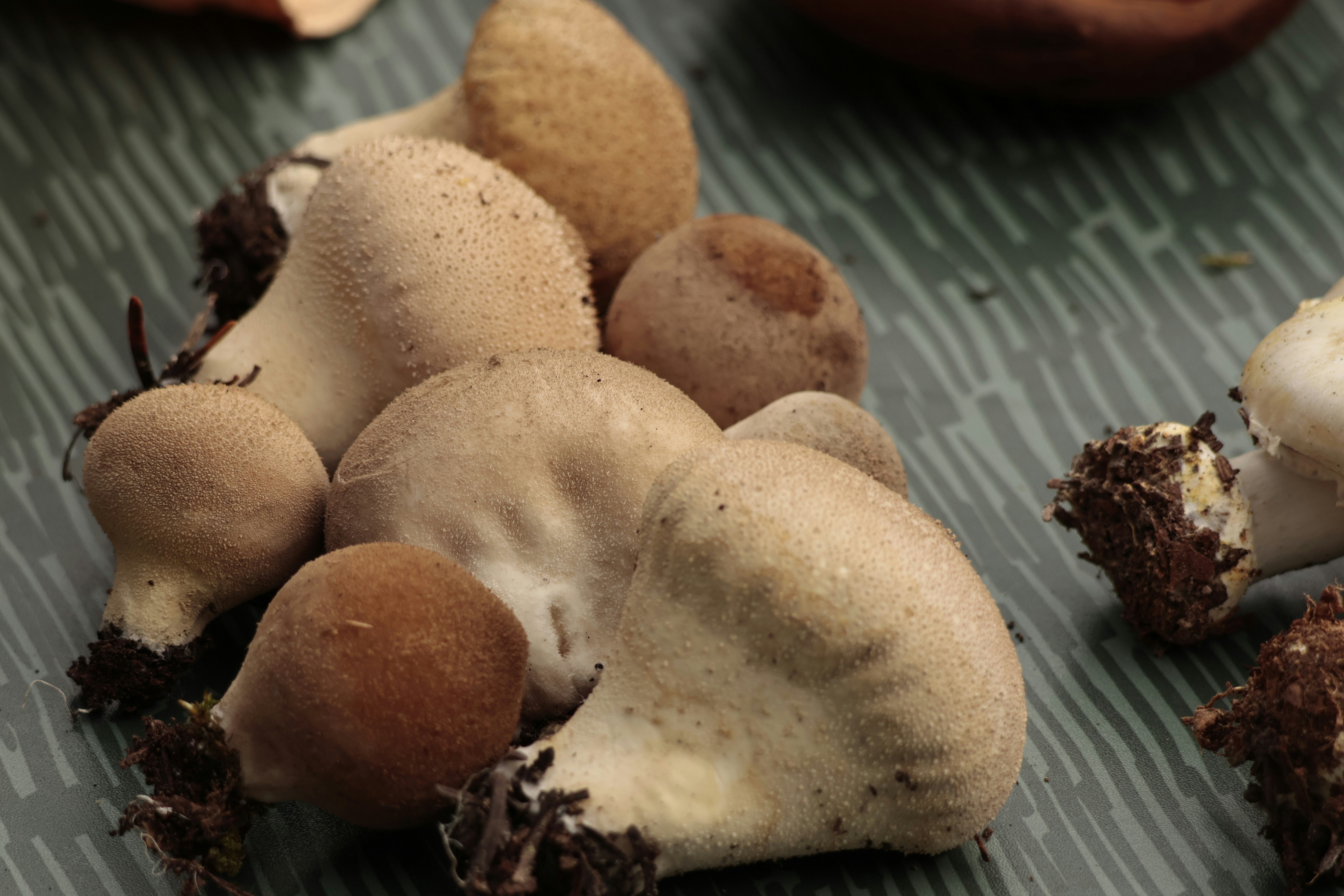 Photo by burakemrecr