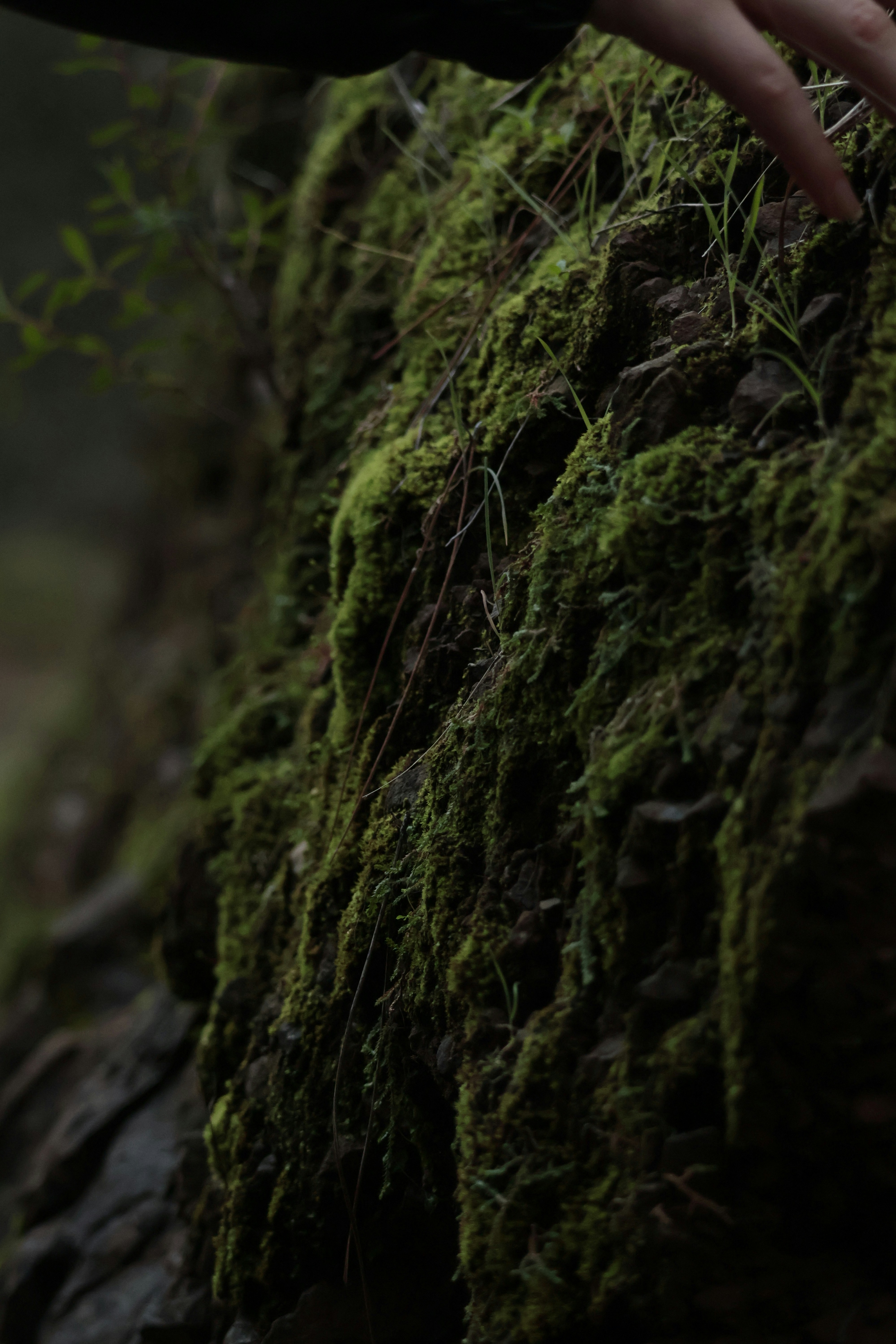 Photo by burakemrecr