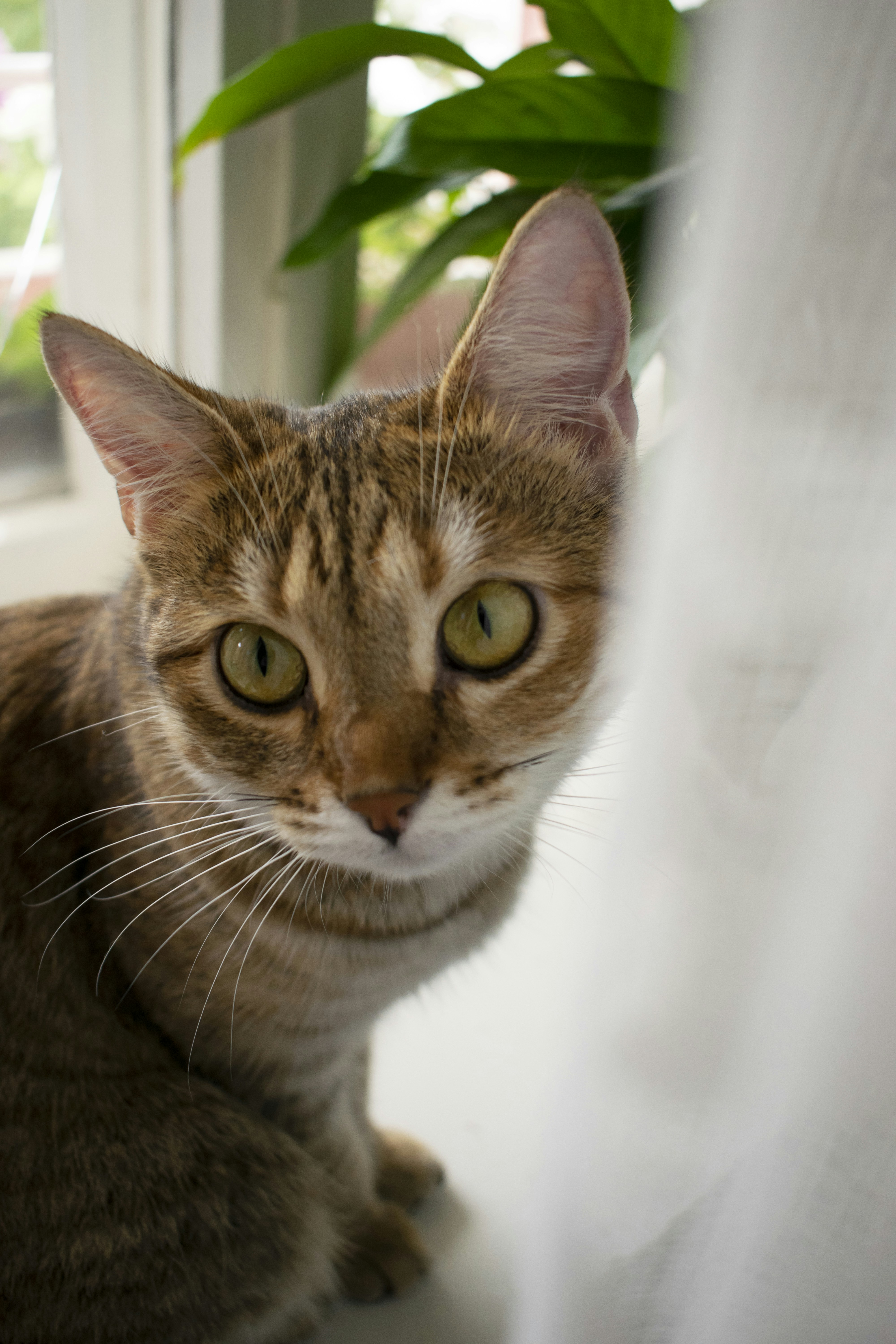 Photo by dimawinterson