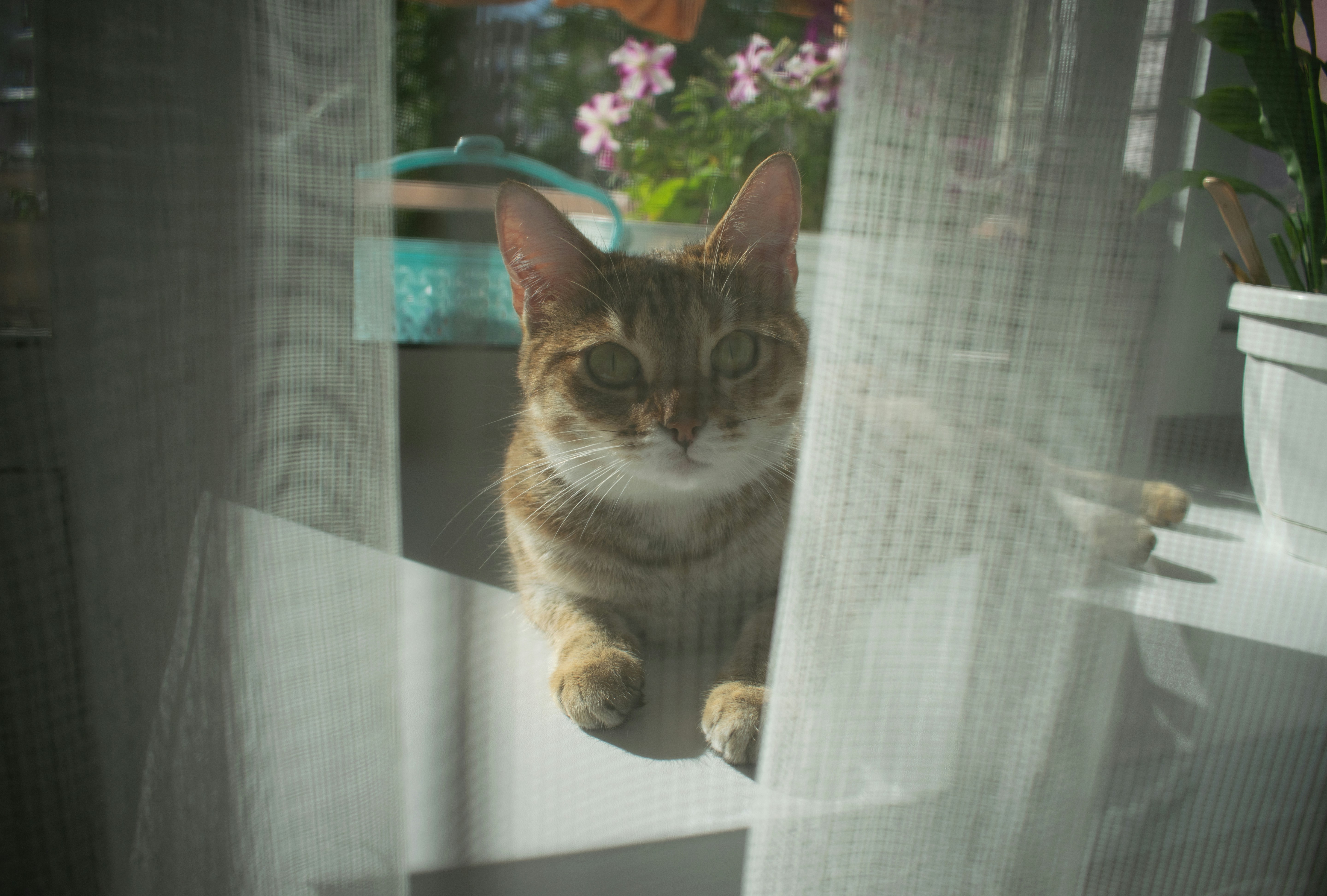 Photo by dimawinterson