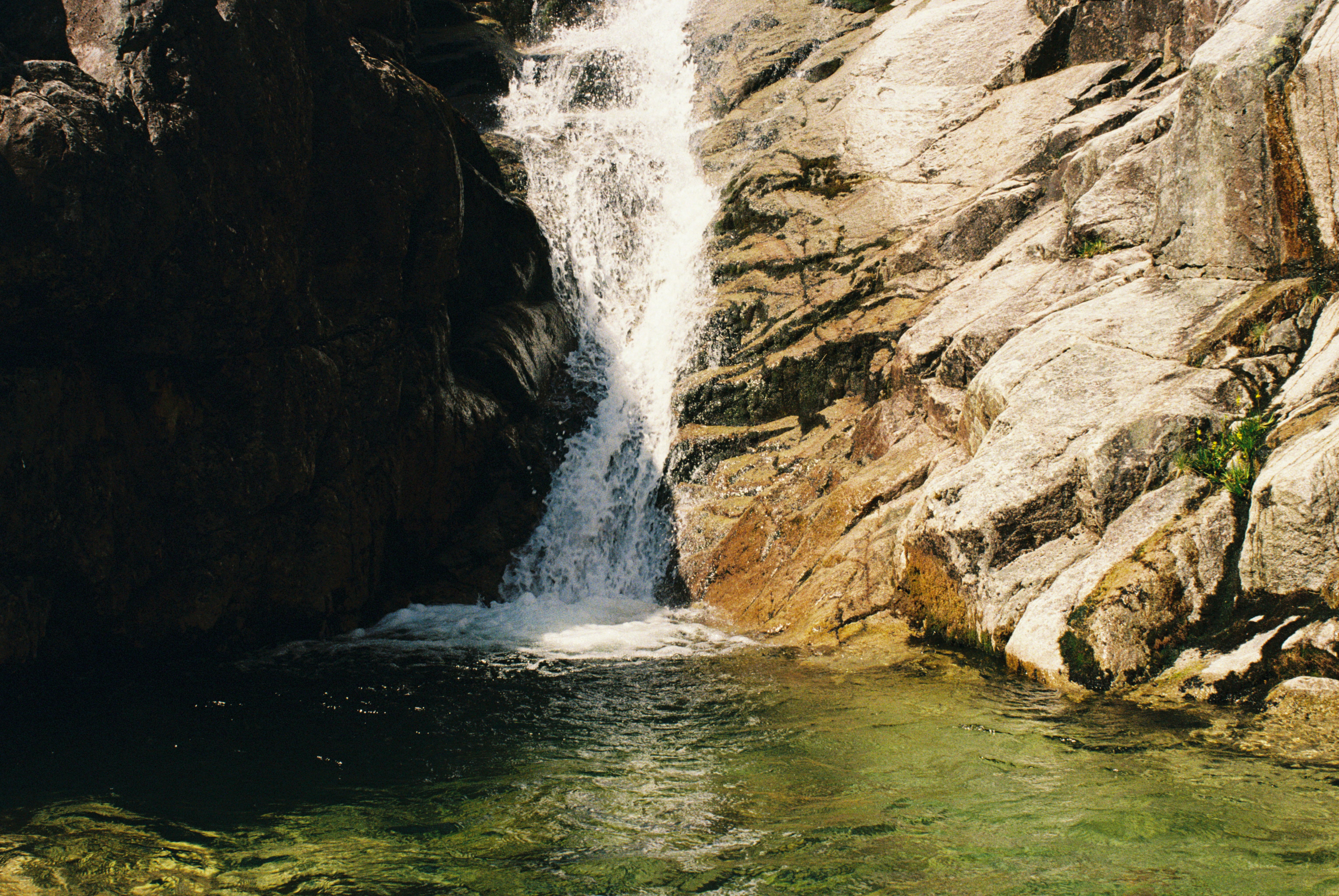 Photo by analoguematt