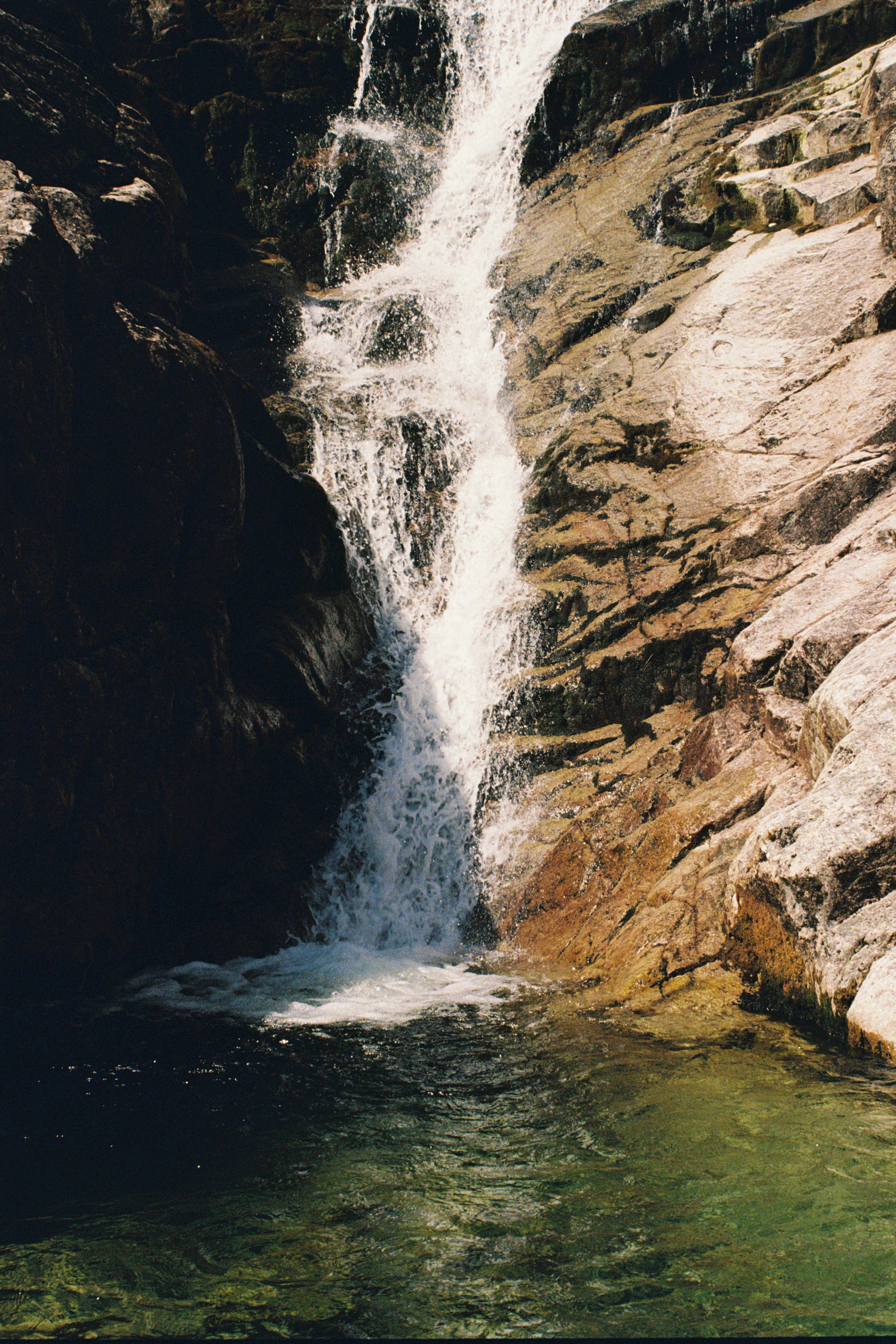 Photo by analoguematt