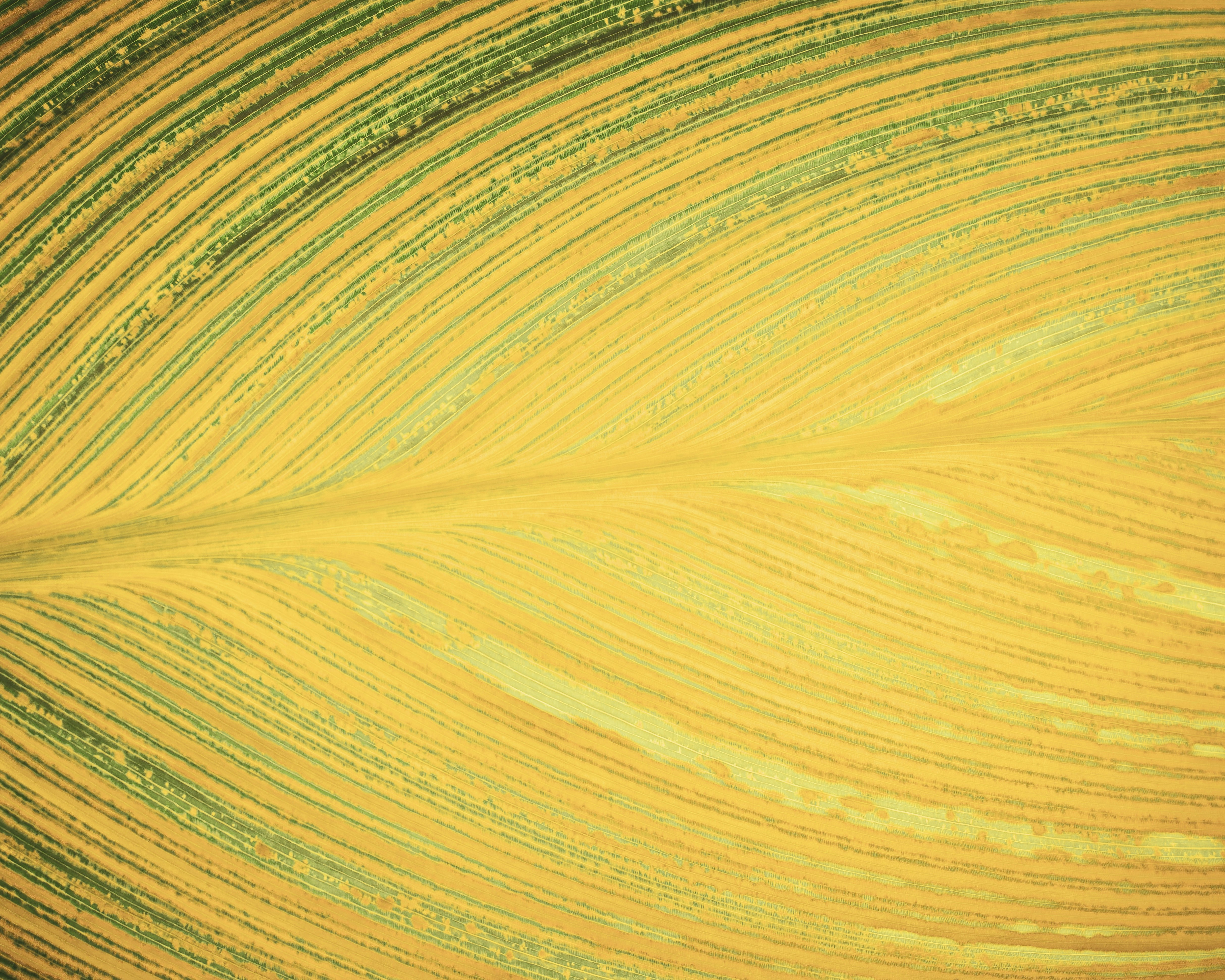 Photo by sschusterphotoart