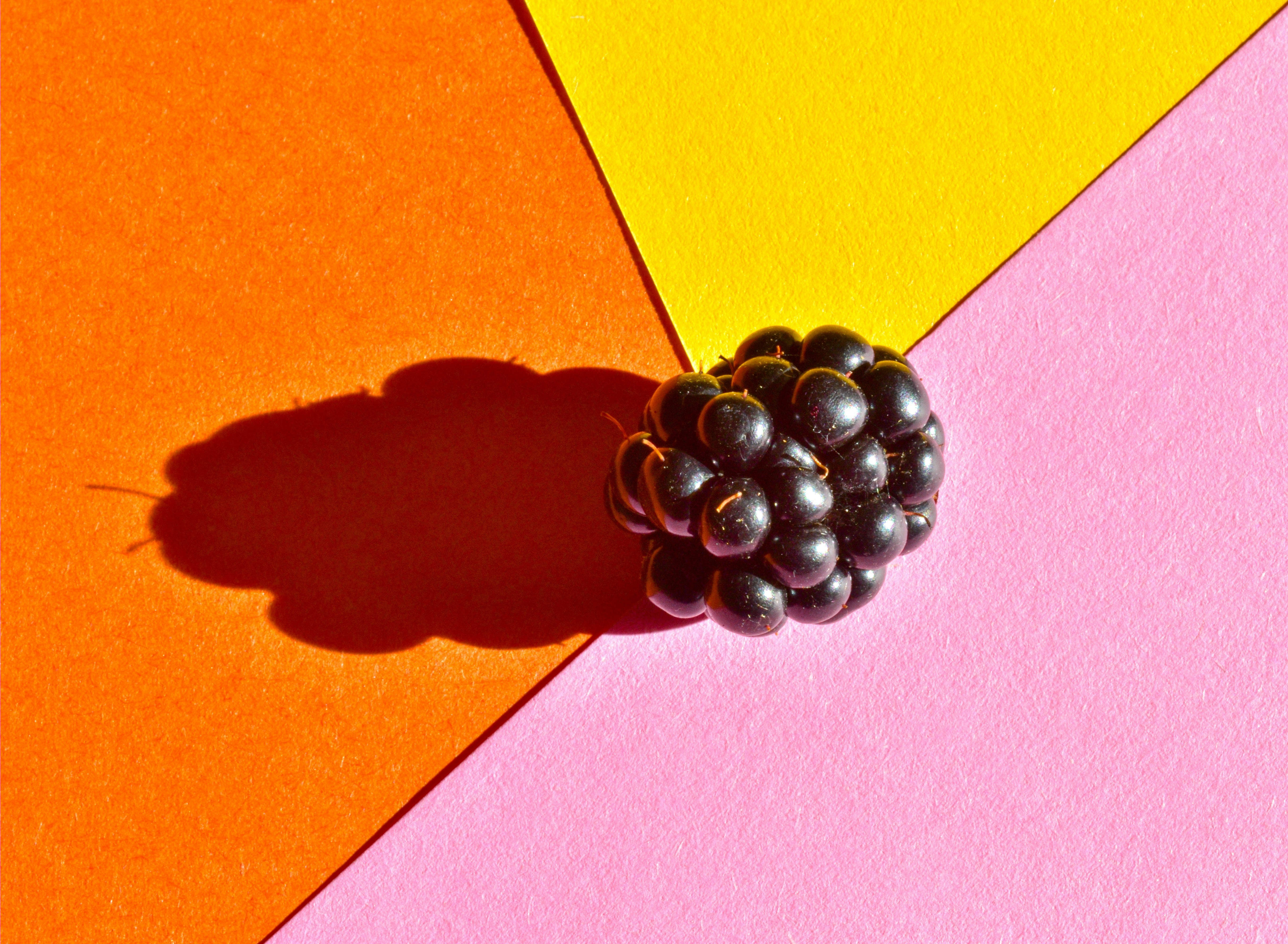 Photo by sschusterphotoart