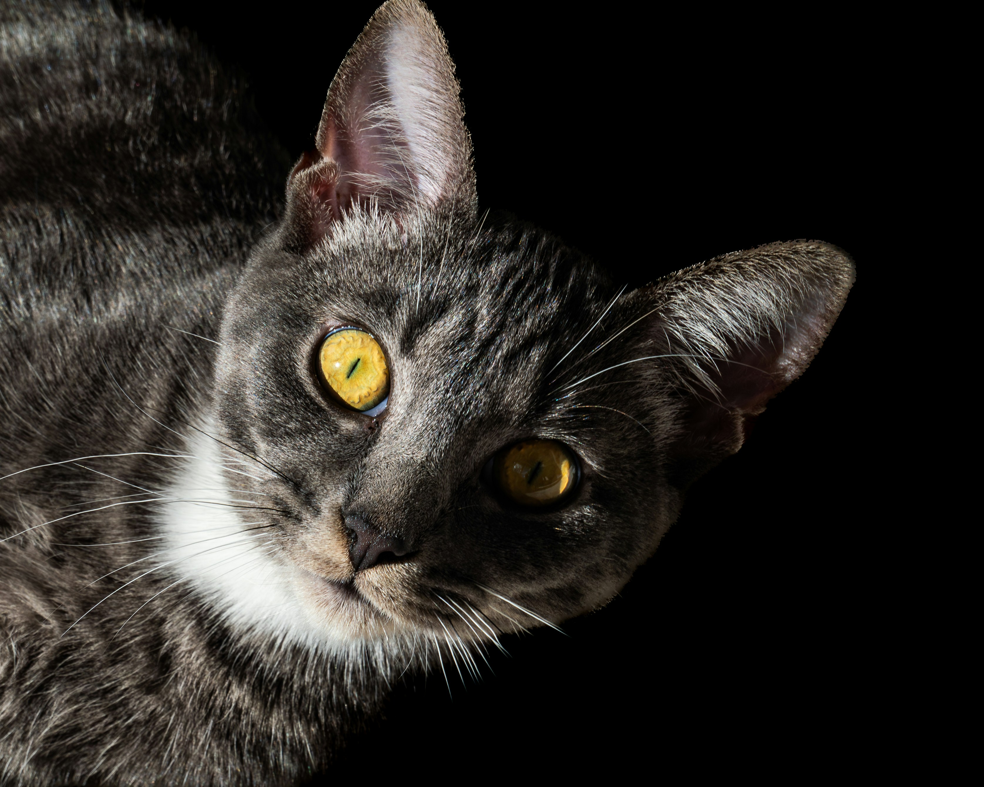 Photo by sschusterphotoart