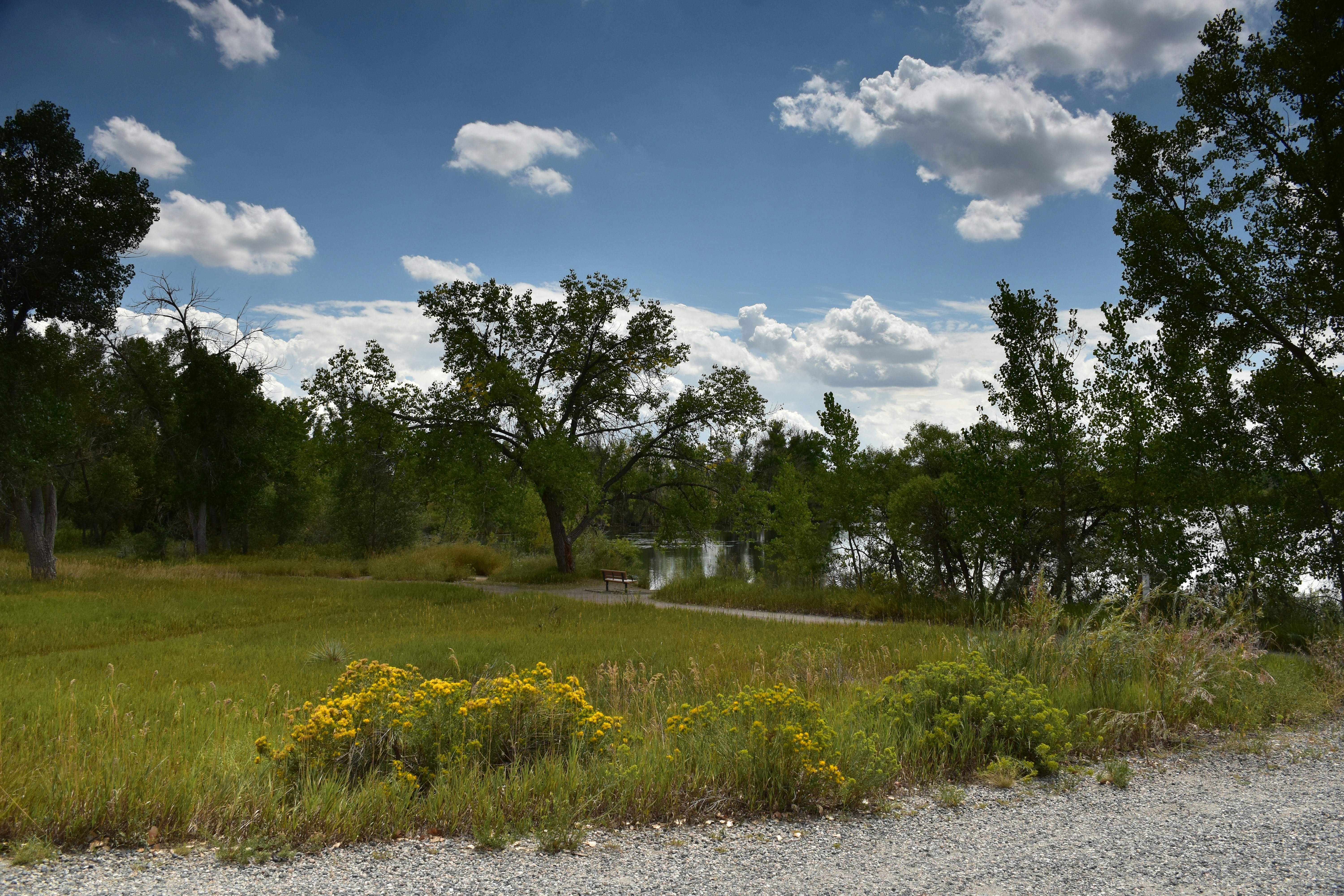 Susquehanna Maintains Positive on Greenbrier Companies, Lowers Price Target to $52