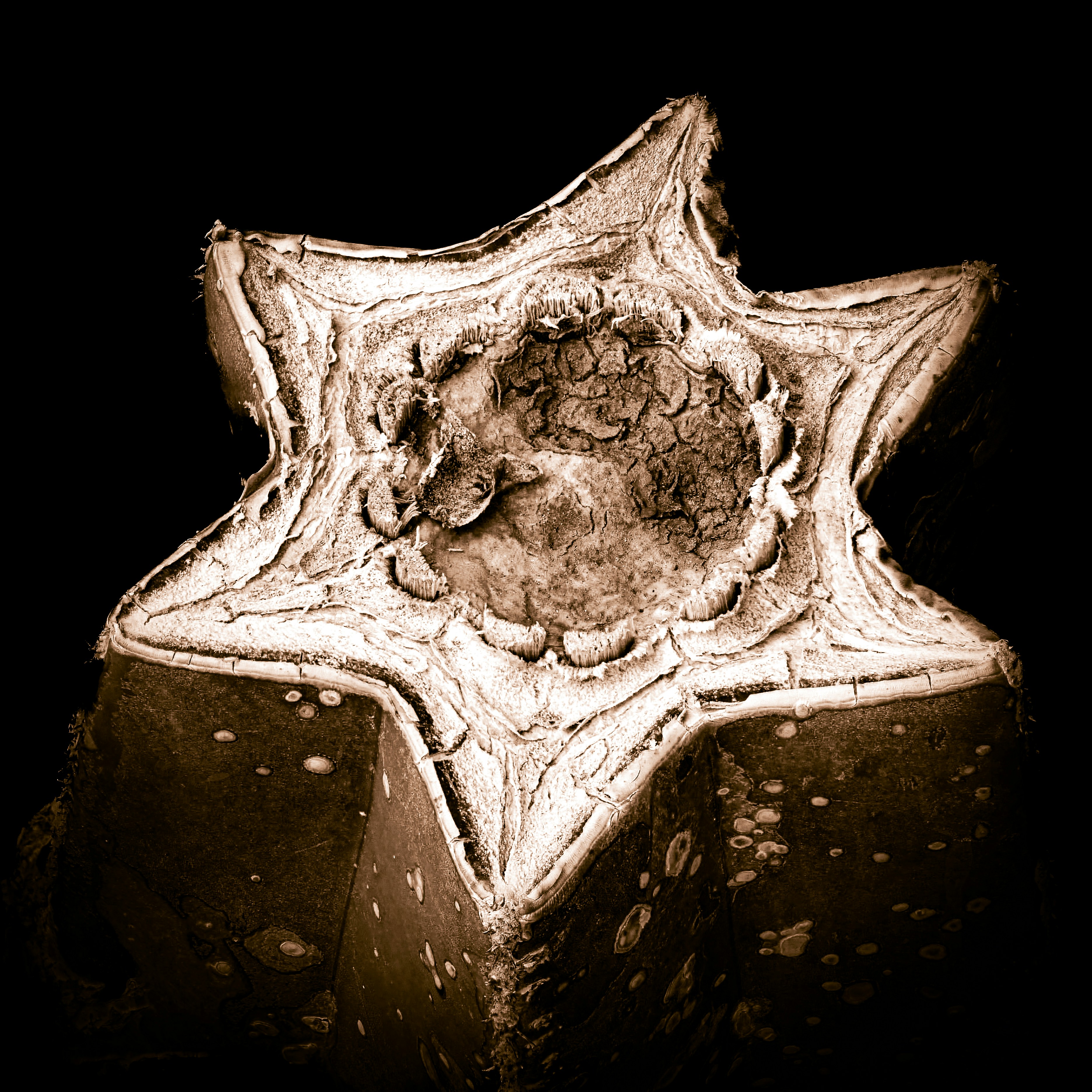 Temporal UX: Designing Calendars that Drive Conversions for Local Retail & Wellness Pop‑Ups (2026)