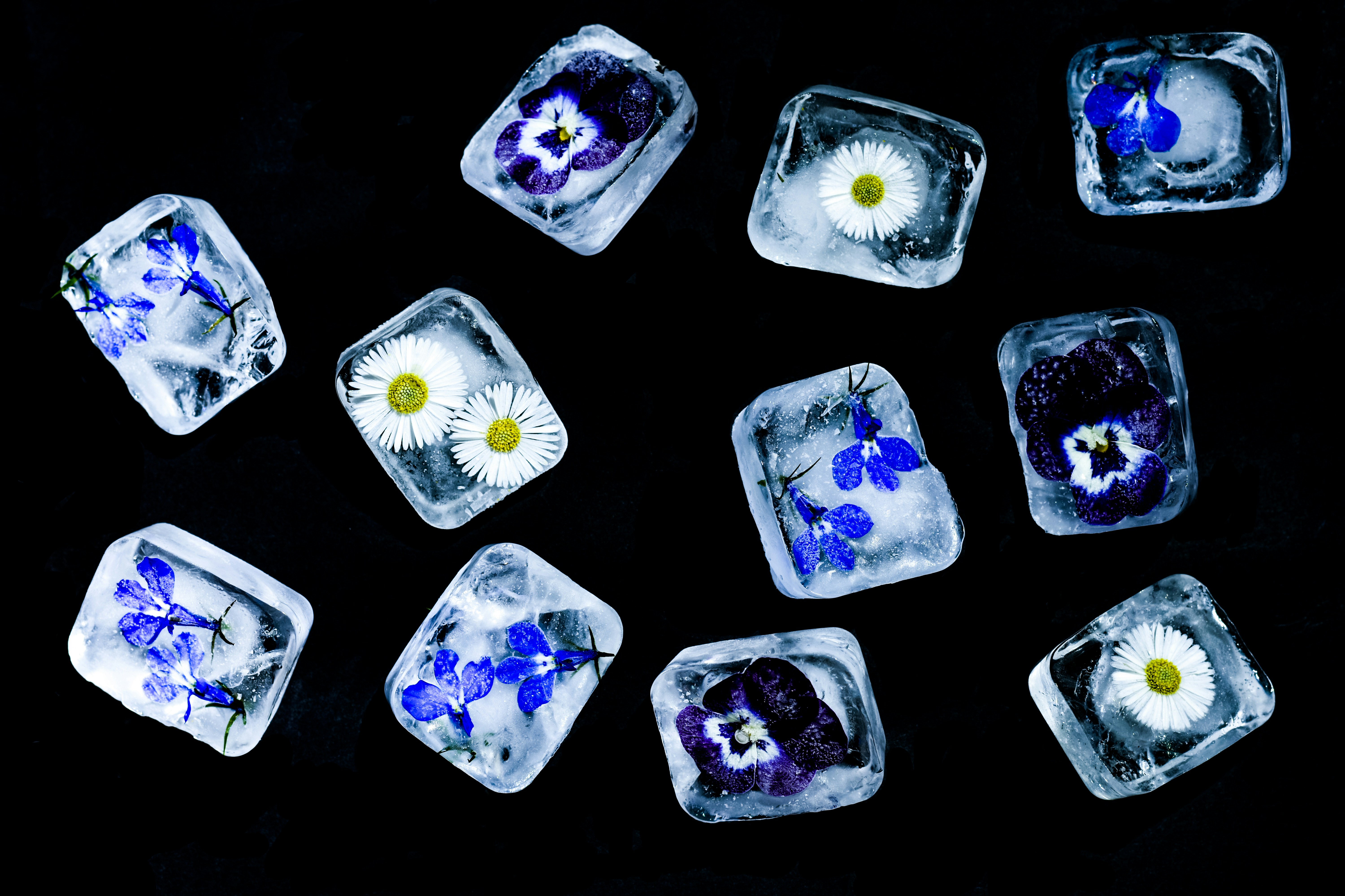 How Long Does It Take Ice Cubes to Freeze? A Practical Freezer Guide