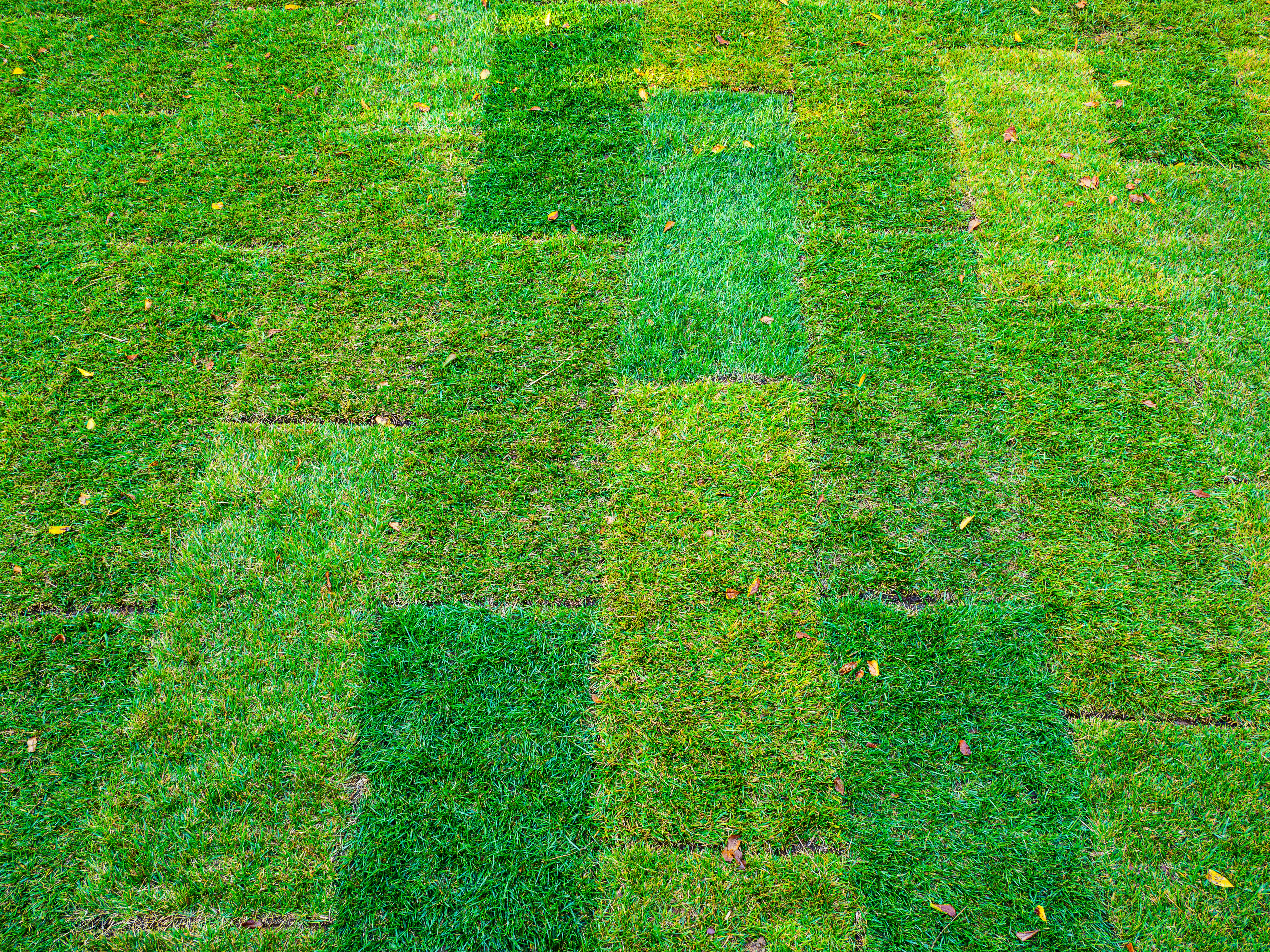 AR Precision Irrigation's image