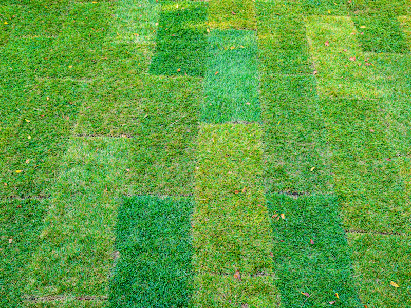 Professional sod installation in Siler City, NC