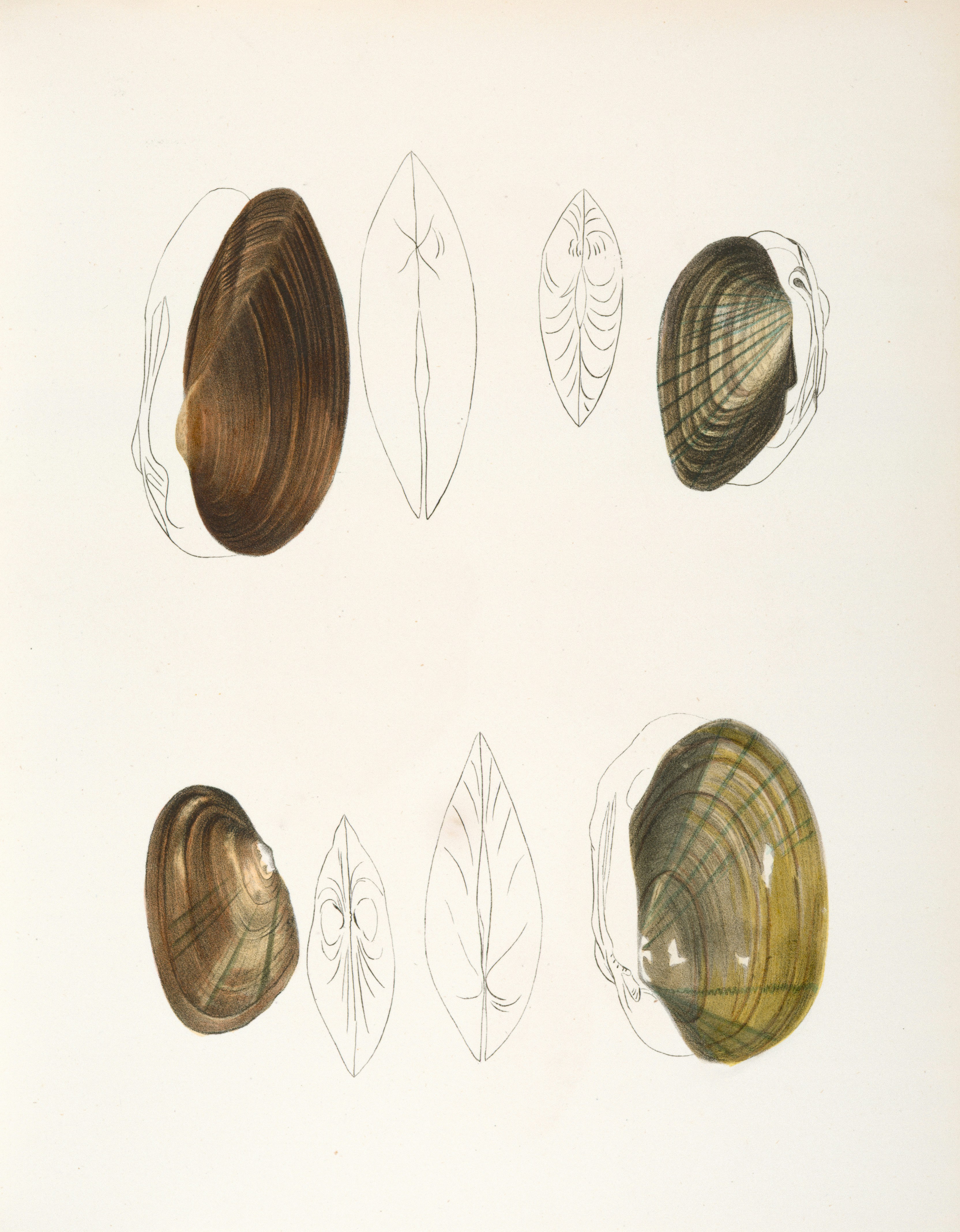 Rare Book Division, The New York Public Library.